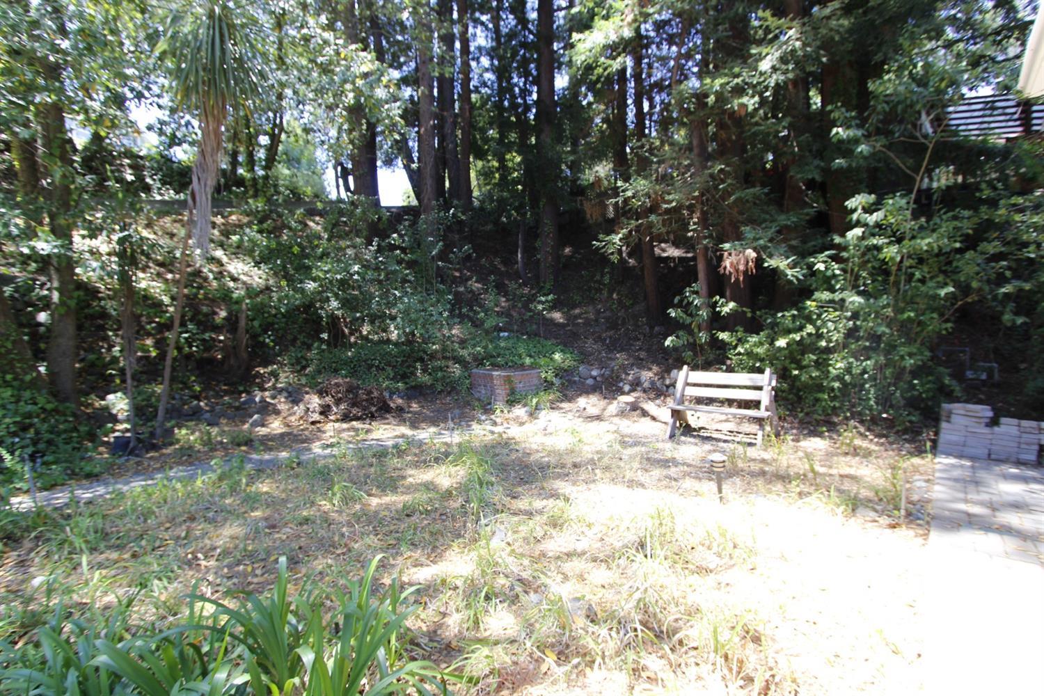 316 Alberta Way Hillsborough, CA 94010 - Photo 25 of 31 a view of backyard with tree