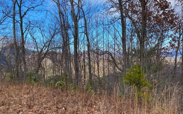 a view of outdoor space and yard