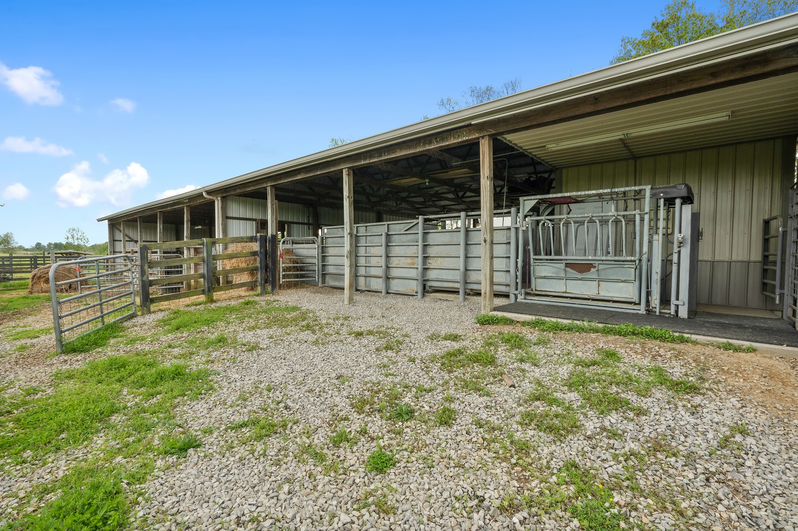 288 Lee Road Cottontown, TN 37048 - Photo 31 of 47 a view of a house with a backyard