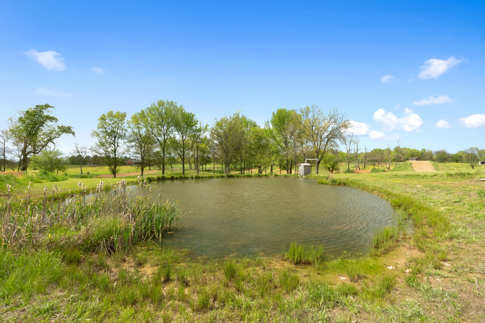 288 Lee Road Cottontown, TN 37048 - Photo 42 of 47 a view of an ocean from a lake