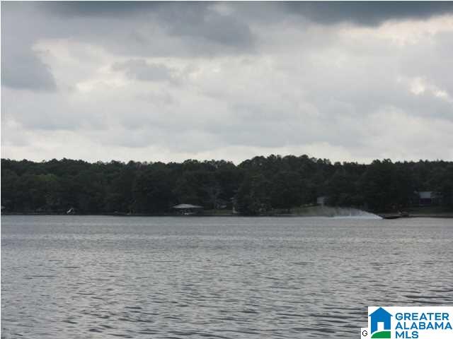 0 Timber Trail, Unit LOT 29 Sylacauga, AL 35151 - Photo 1 of 25