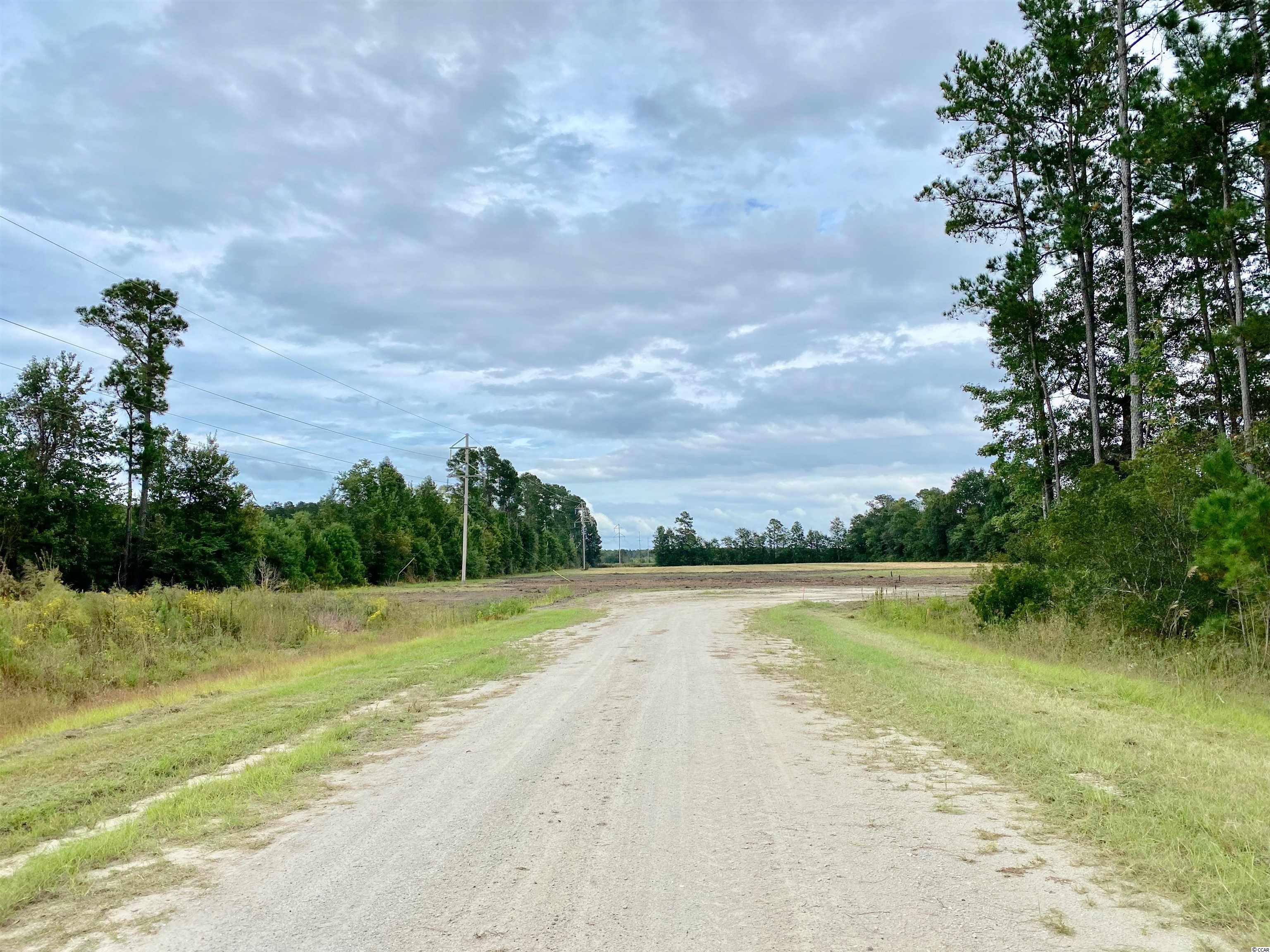 Tbd Tbd Wise Farm Road Aynor, SC 29511 - Photo 1 of 31 Gallery Image 1