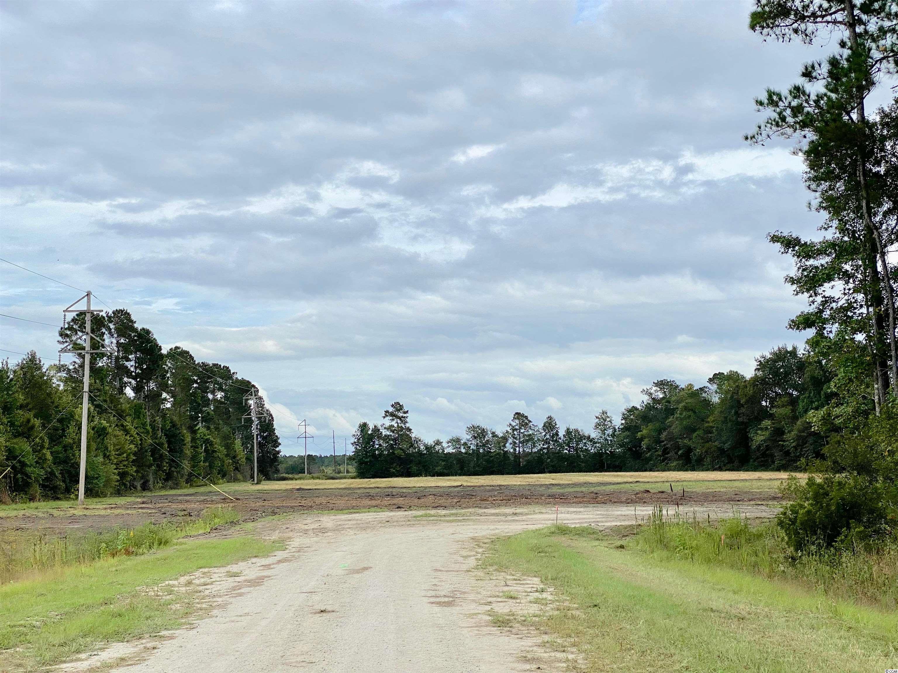 Tbd Tbd Wise Farm Road Aynor, SC 29511 - Photo 2 of 31 Gallery Image 2