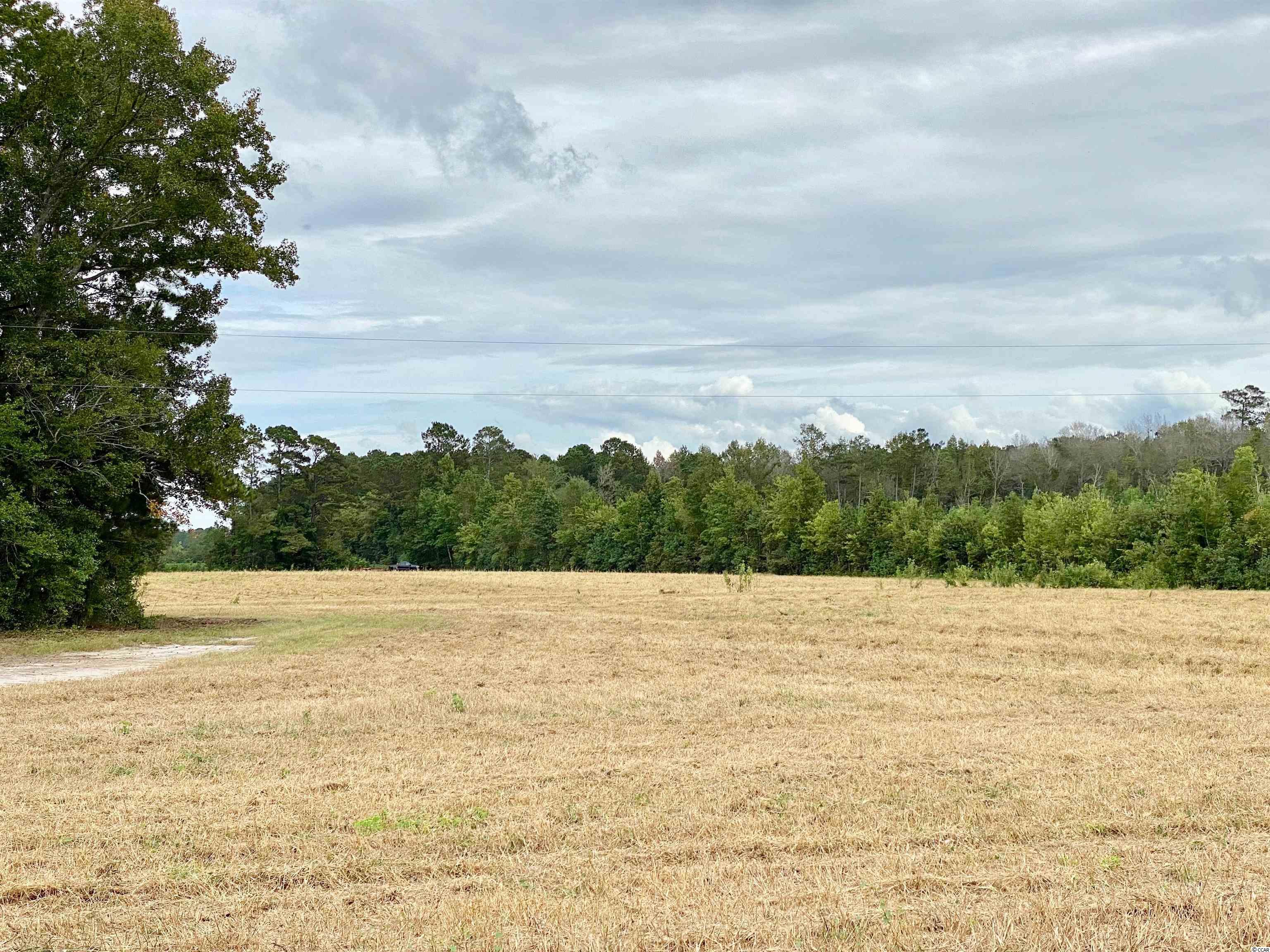 Tbd Tbd Wise Farm Road Aynor, SC 29511 - Photo 11 of 31 Gallery Image 11