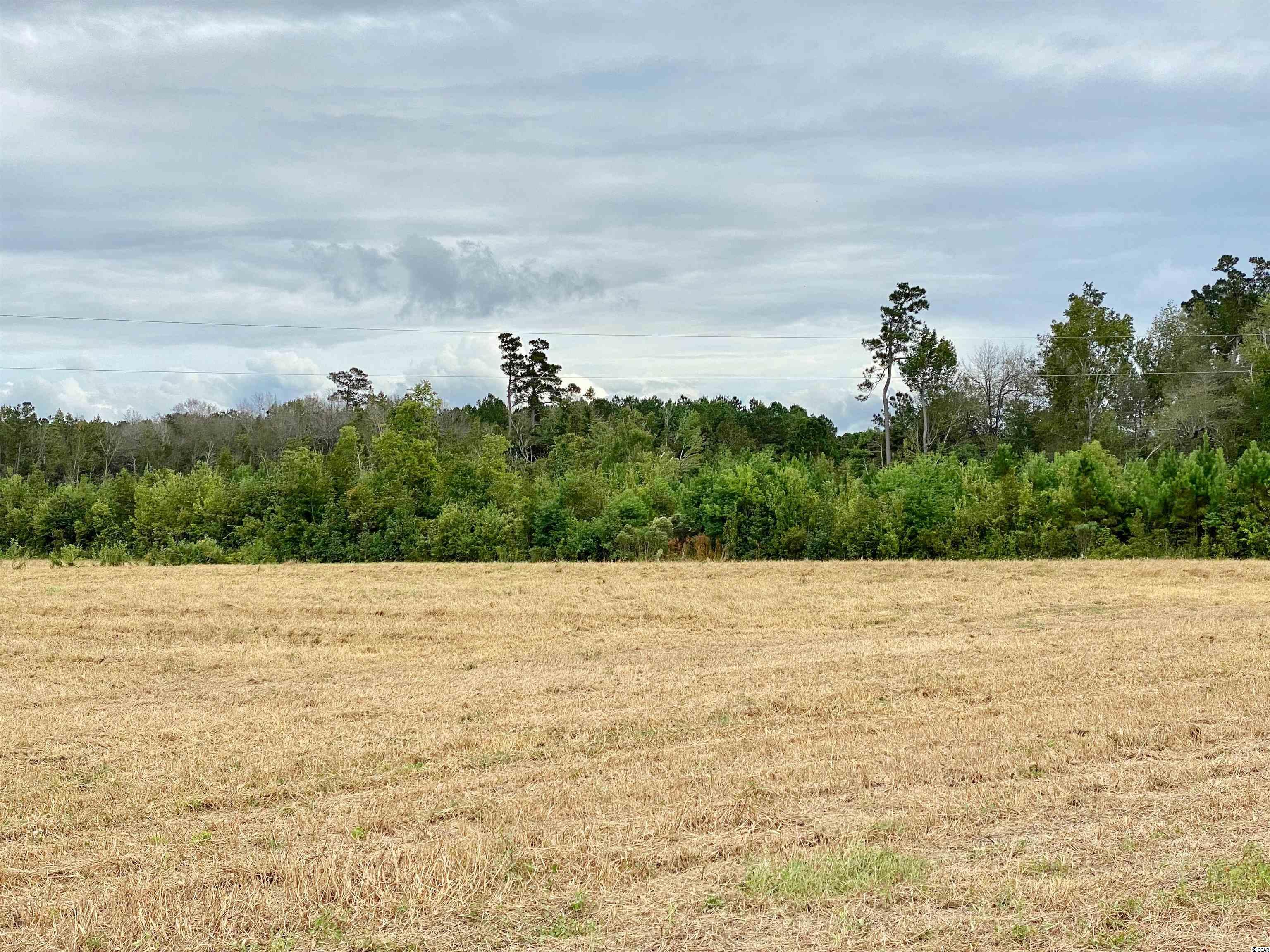 Tbd Tbd Wise Farm Road Aynor, SC 29511 - Photo 12 of 31 Gallery Image 12