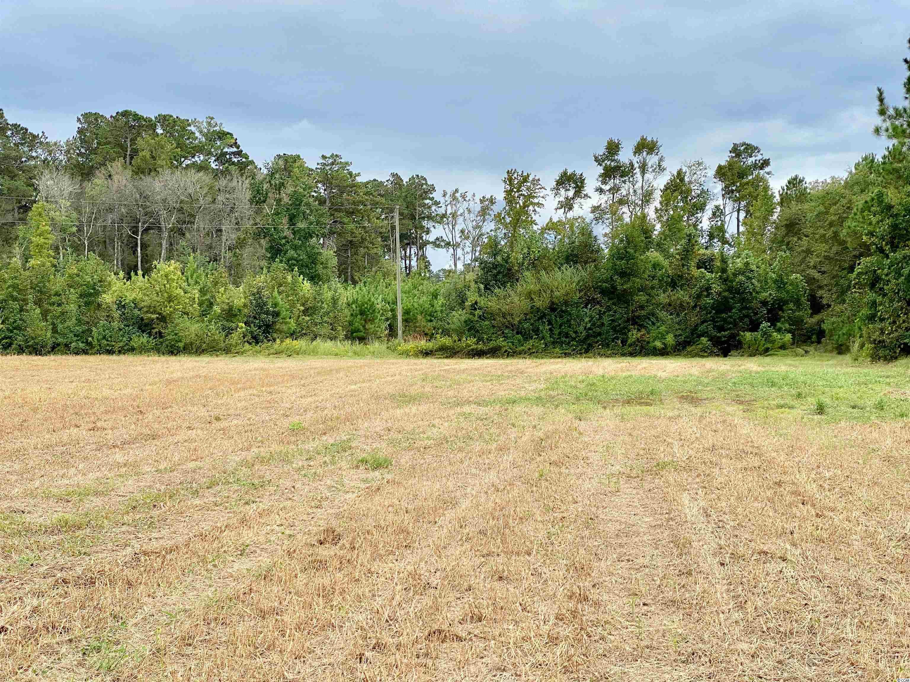Tbd Tbd Wise Farm Road Aynor, SC 29511 - Photo 13 of 31 Gallery Image 13