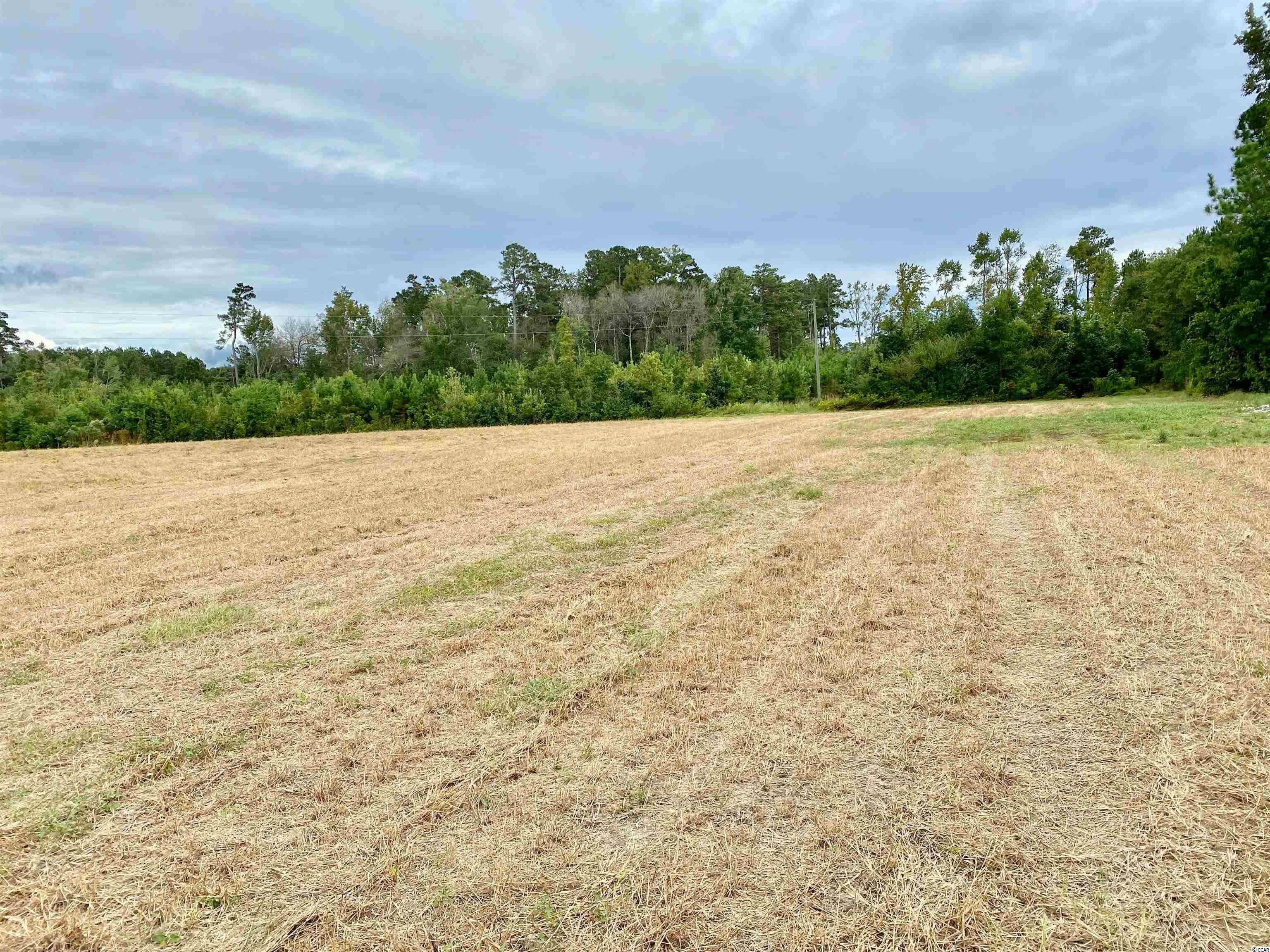Tbd Tbd Wise Farm Road Aynor, SC 29511 - Photo 14 of 31 Gallery Image 14