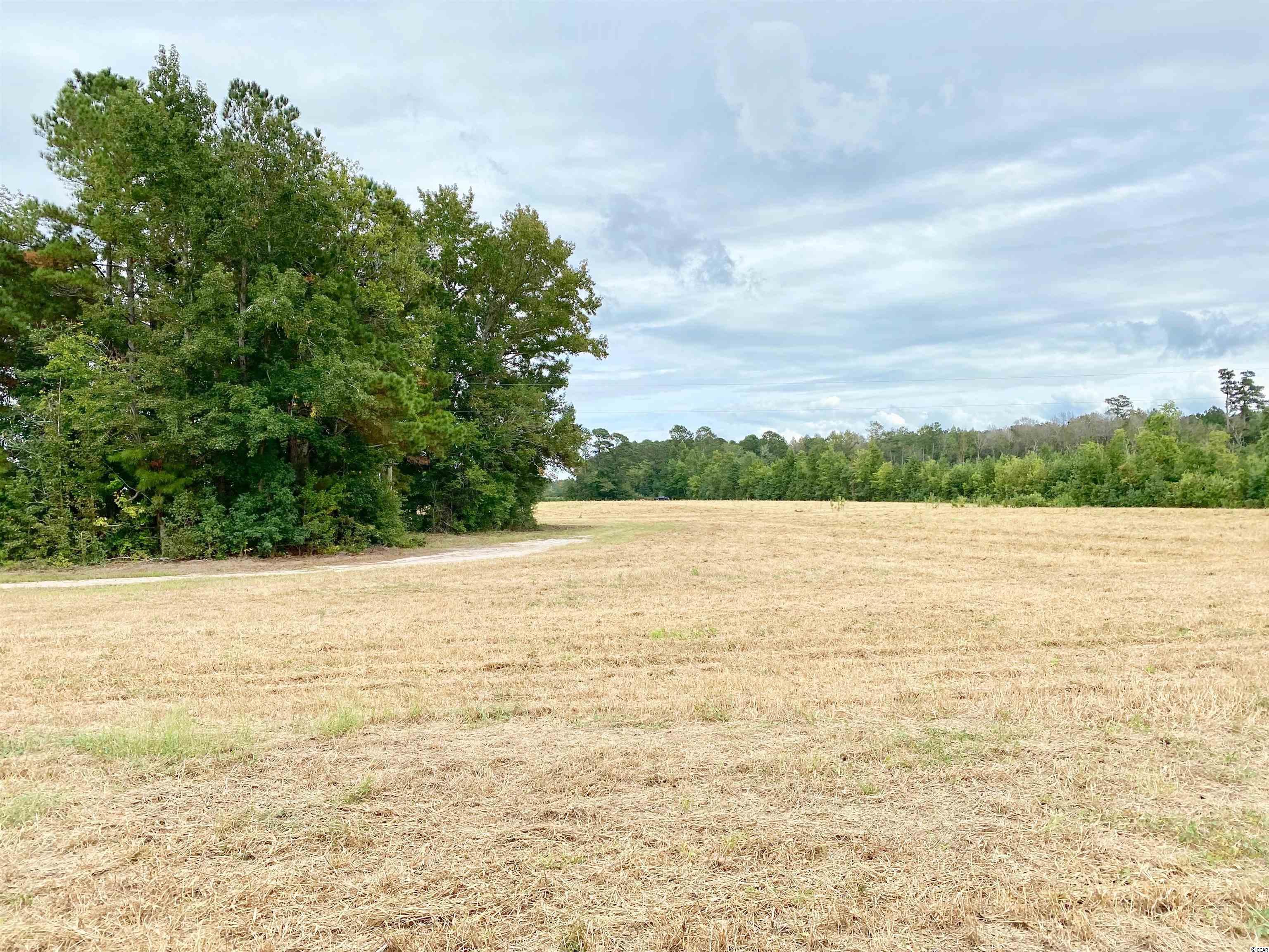 Tbd Tbd Wise Farm Road Aynor, SC 29511 - Photo 15 of 31 Gallery Image 15