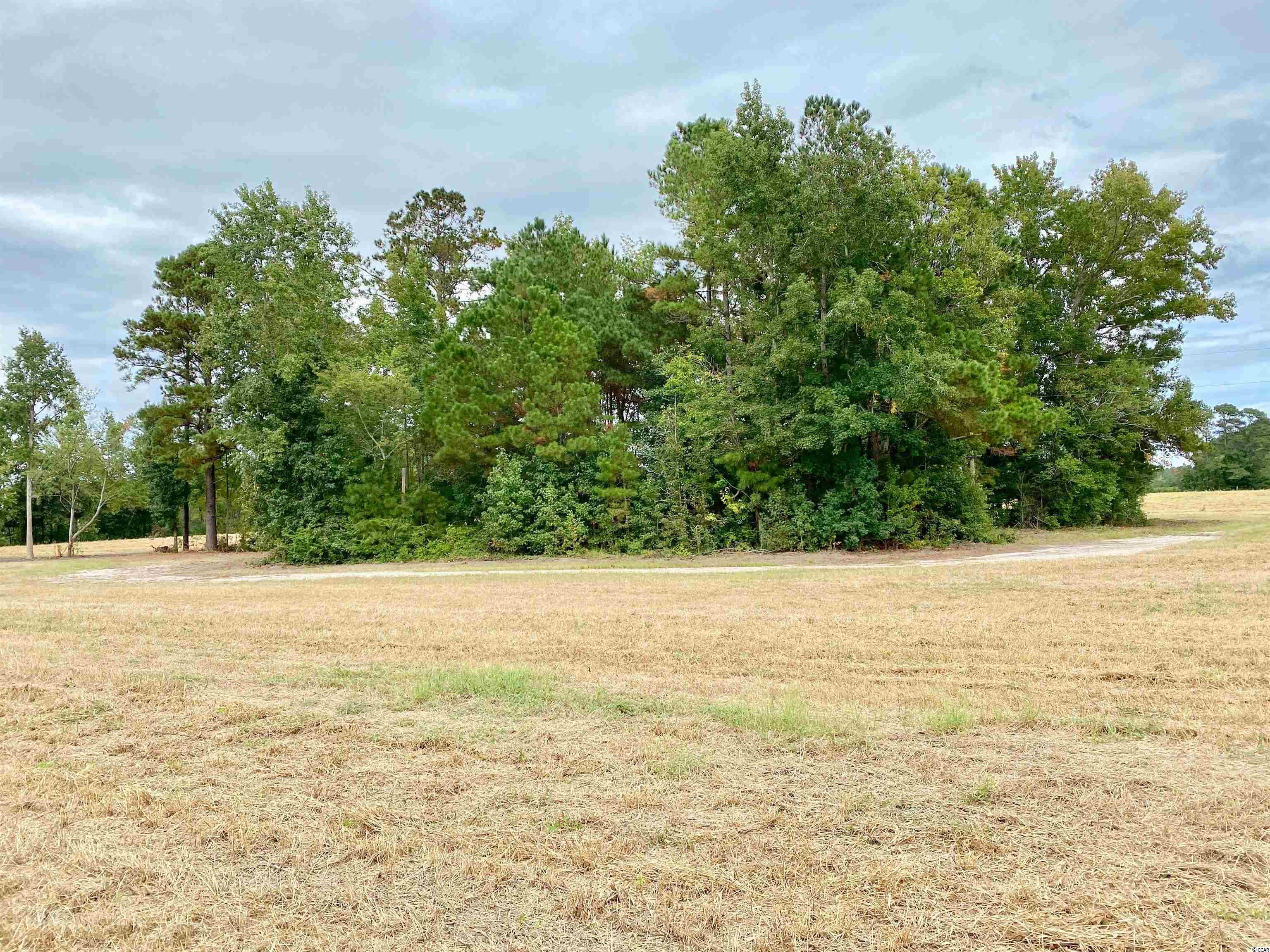 Tbd Tbd Wise Farm Road Aynor, SC 29511 - Photo 16 of 31 Gallery Image 16