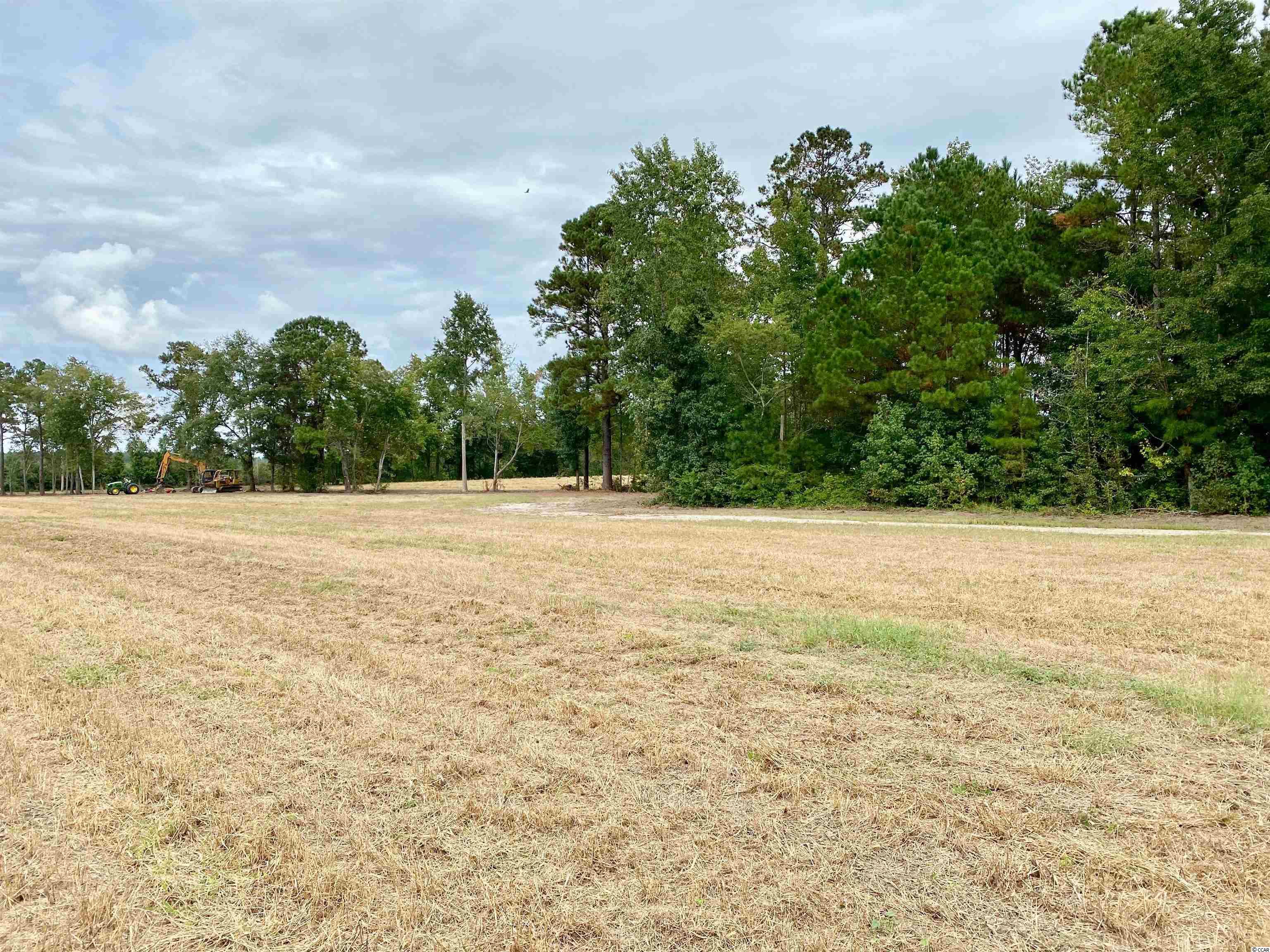 Tbd Tbd Wise Farm Road Aynor, SC 29511 - Photo 17 of 31 Gallery Image 17