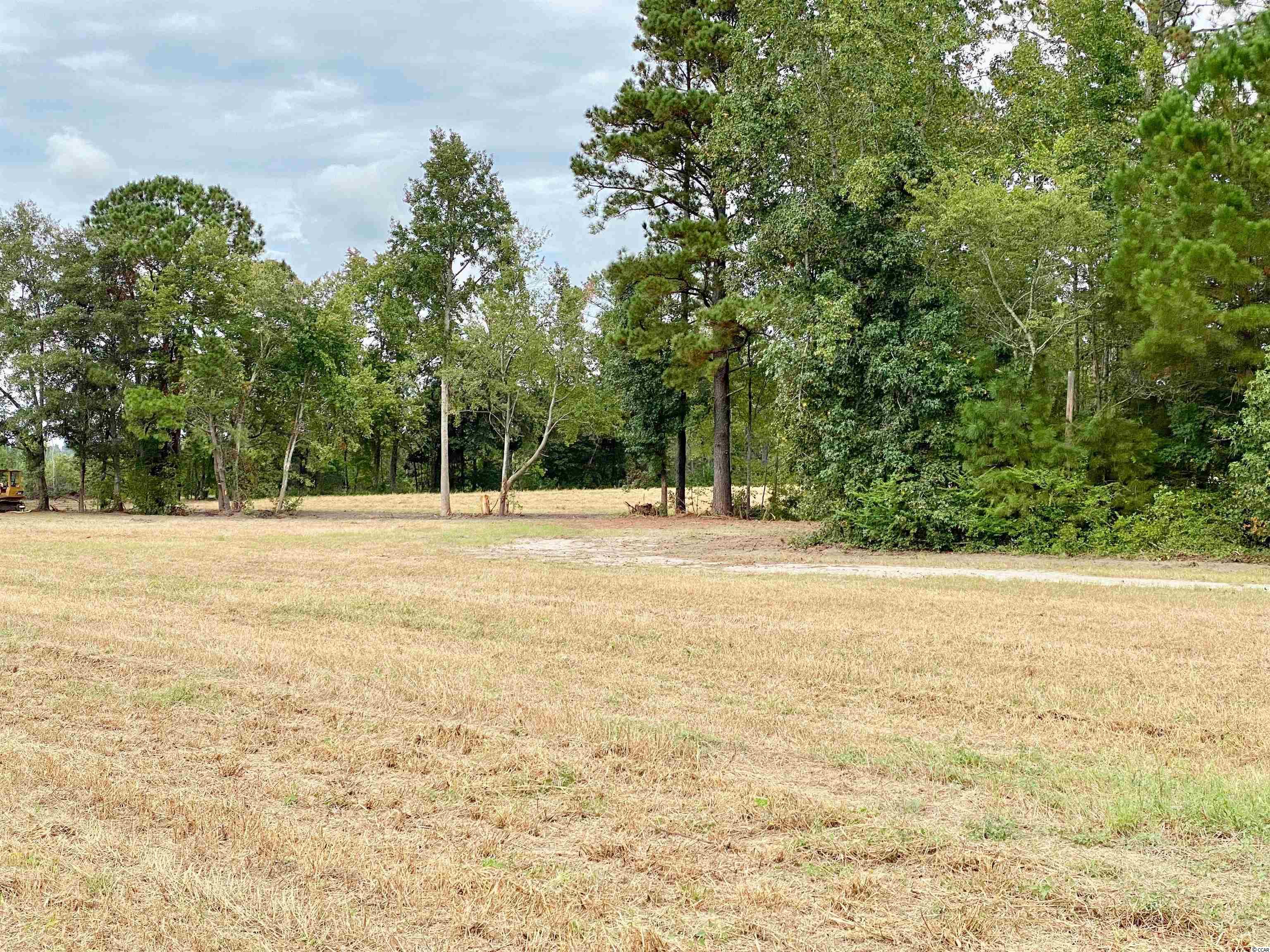Tbd Tbd Wise Farm Road Aynor, SC 29511 - Photo 18 of 31 Gallery Image 18