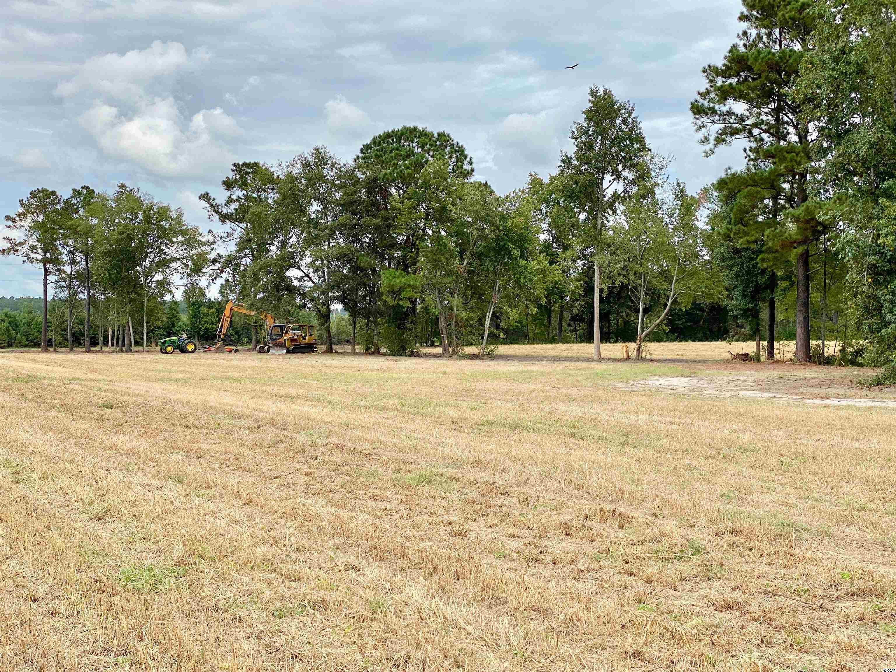 Tbd Tbd Wise Farm Road Aynor, SC 29511 - Photo 19 of 31 Gallery Image 19