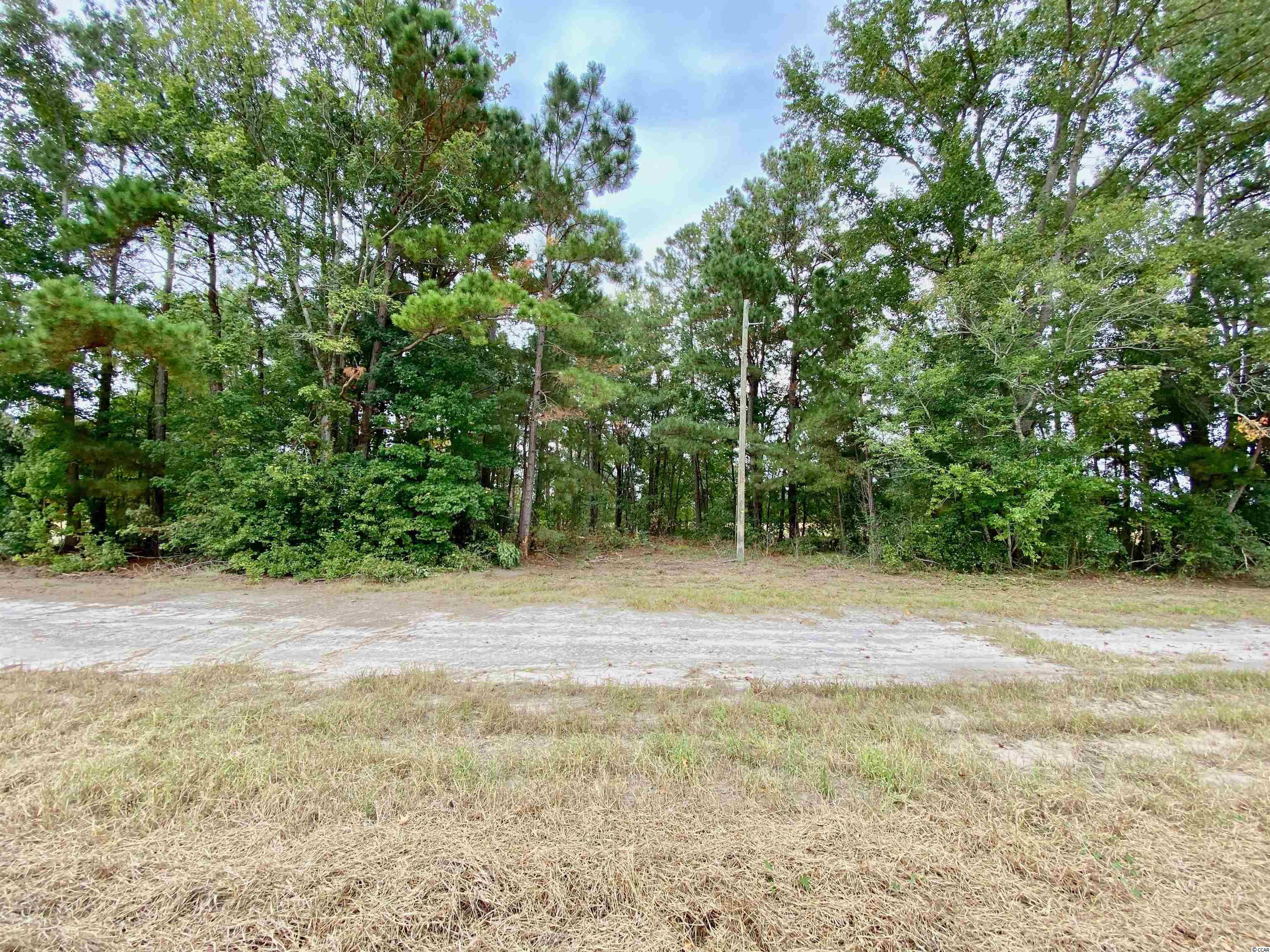 Tbd Tbd Wise Farm Road Aynor, SC 29511 - Photo 20 of 31 Gallery Image 20
