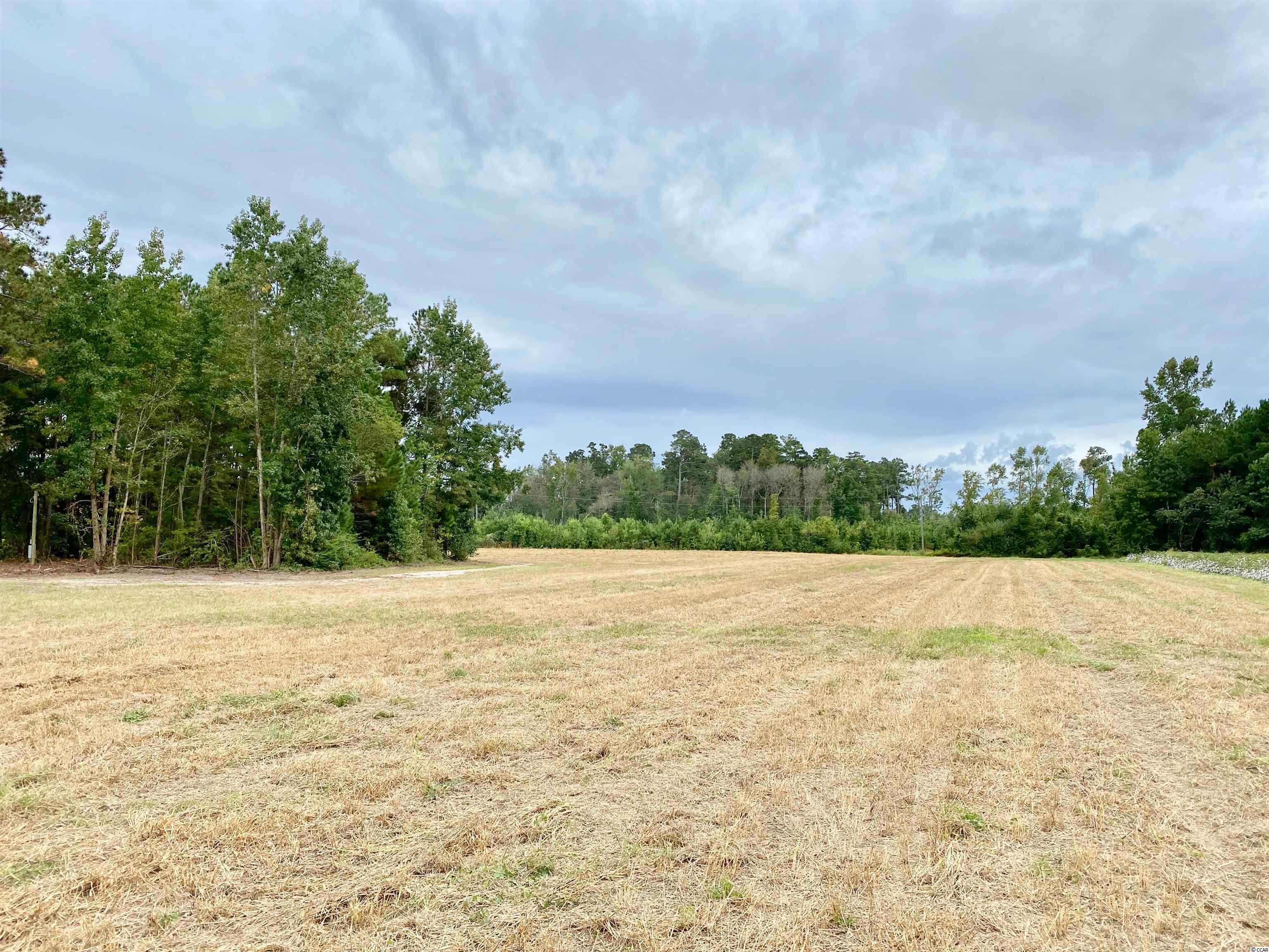 Tbd Tbd Wise Farm Road Aynor, SC 29511 - Photo 3 of 31 Gallery Image 3