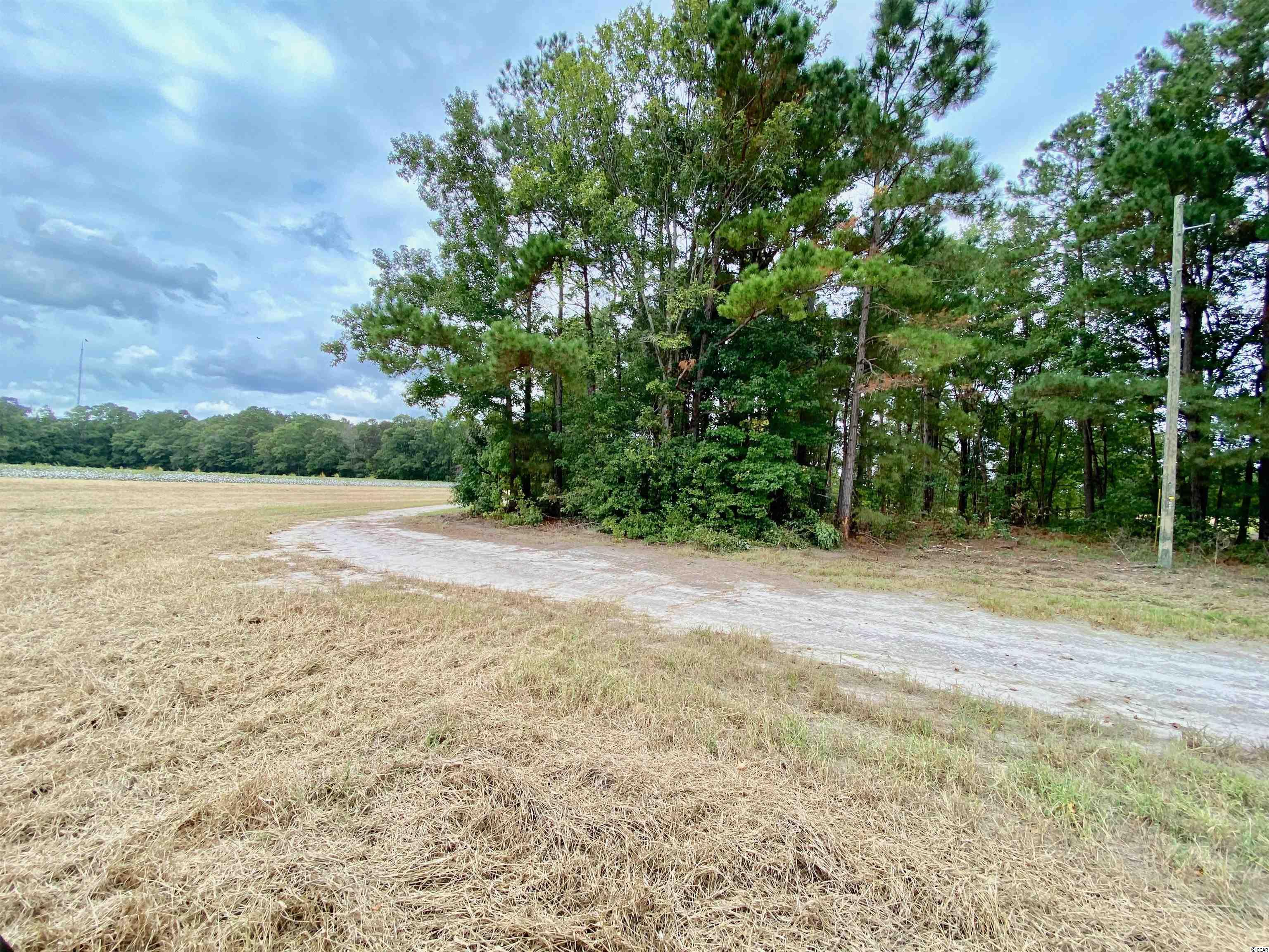 Tbd Tbd Wise Farm Road Aynor, SC 29511 - Photo 21 of 31 Gallery Image 21