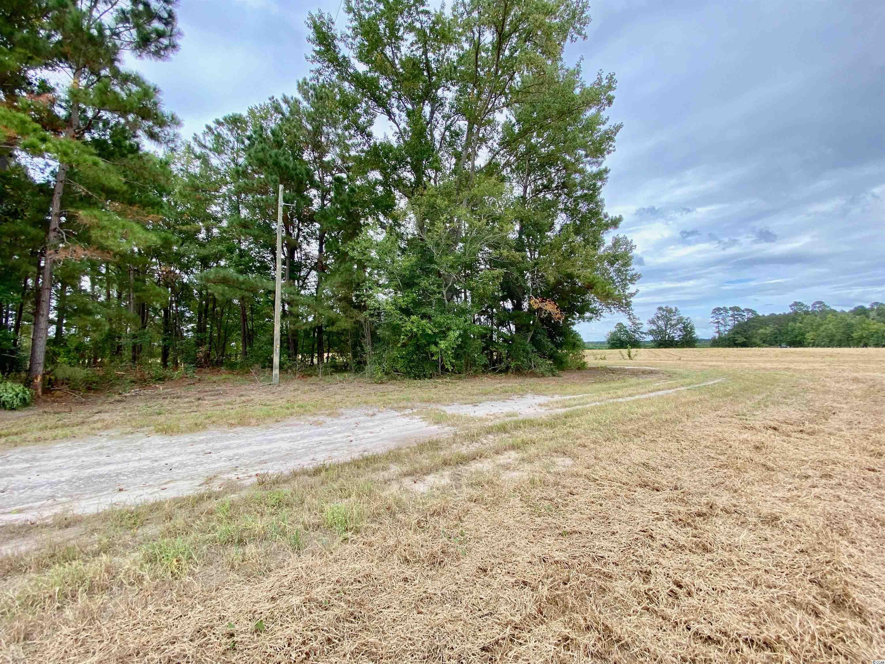 Tbd Tbd Wise Farm Road Aynor, SC 29511 - Photo 22 of 31 Gallery Image 22