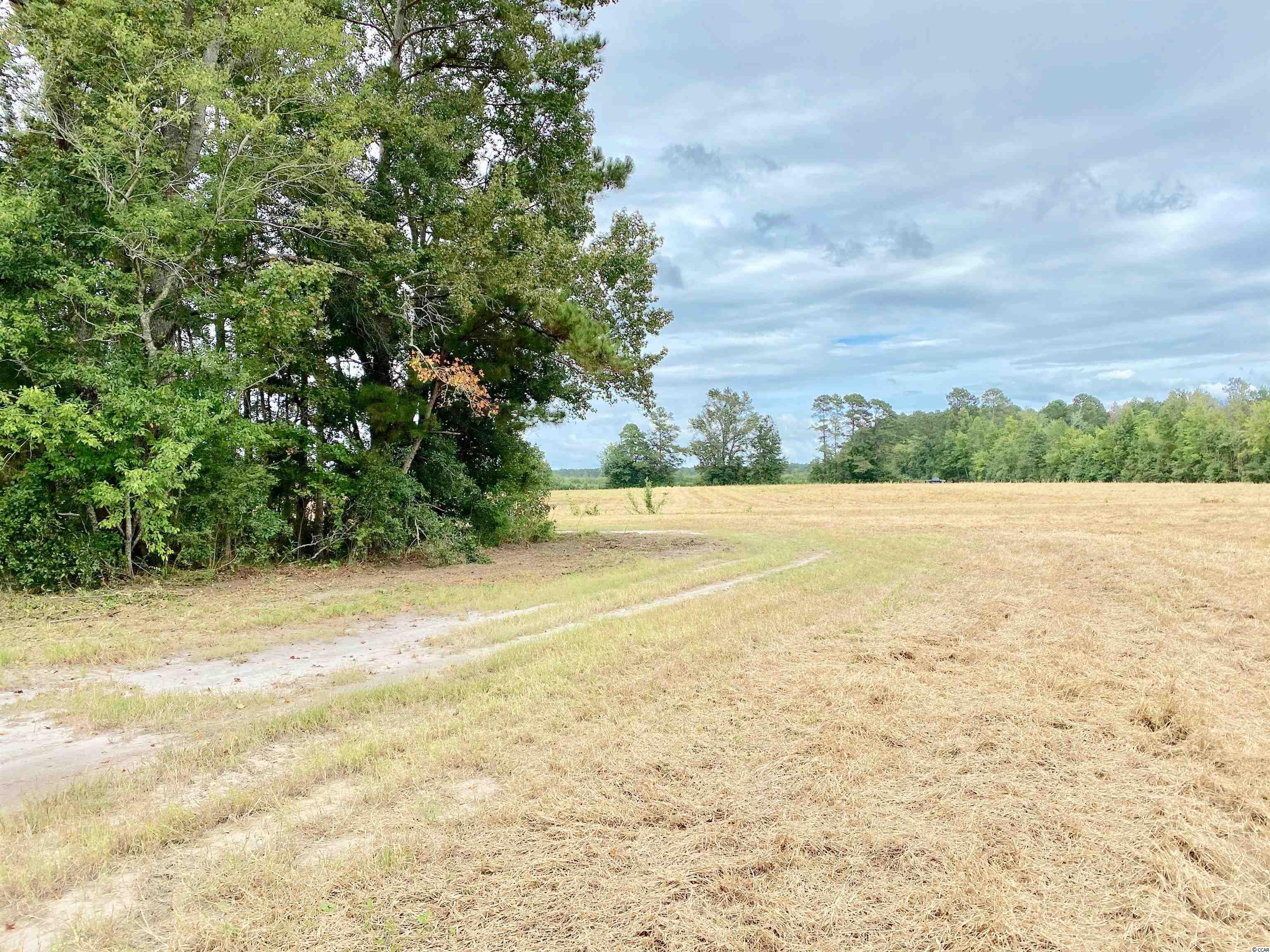 Tbd Tbd Wise Farm Road Aynor, SC 29511 - Photo 23 of 31 Gallery Image 23