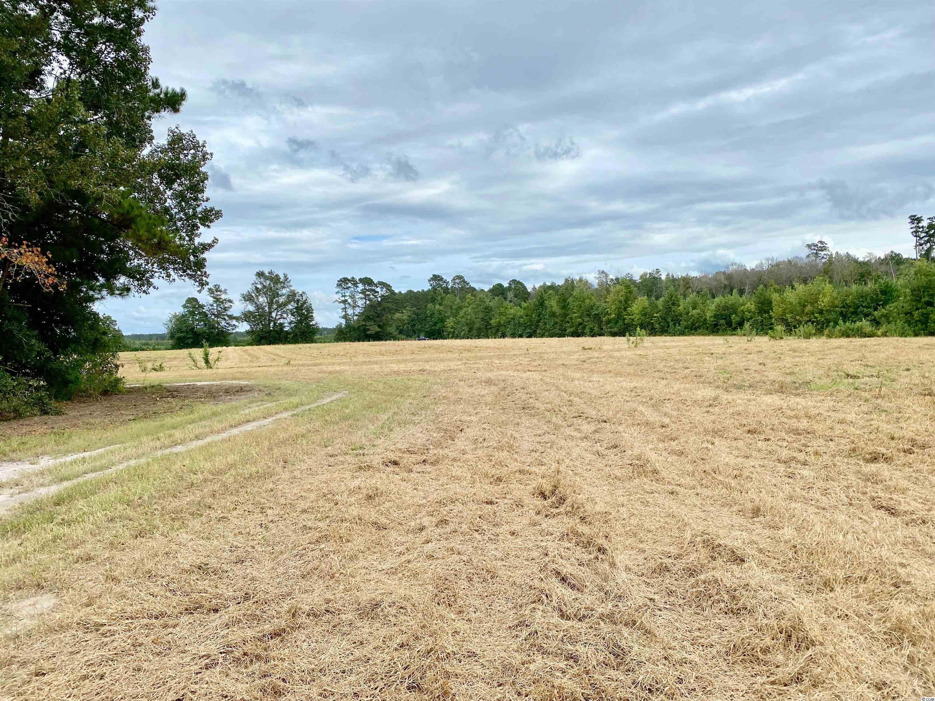 Tbd Tbd Wise Farm Road Aynor, SC 29511 - Photo 24 of 31 Gallery Image 24