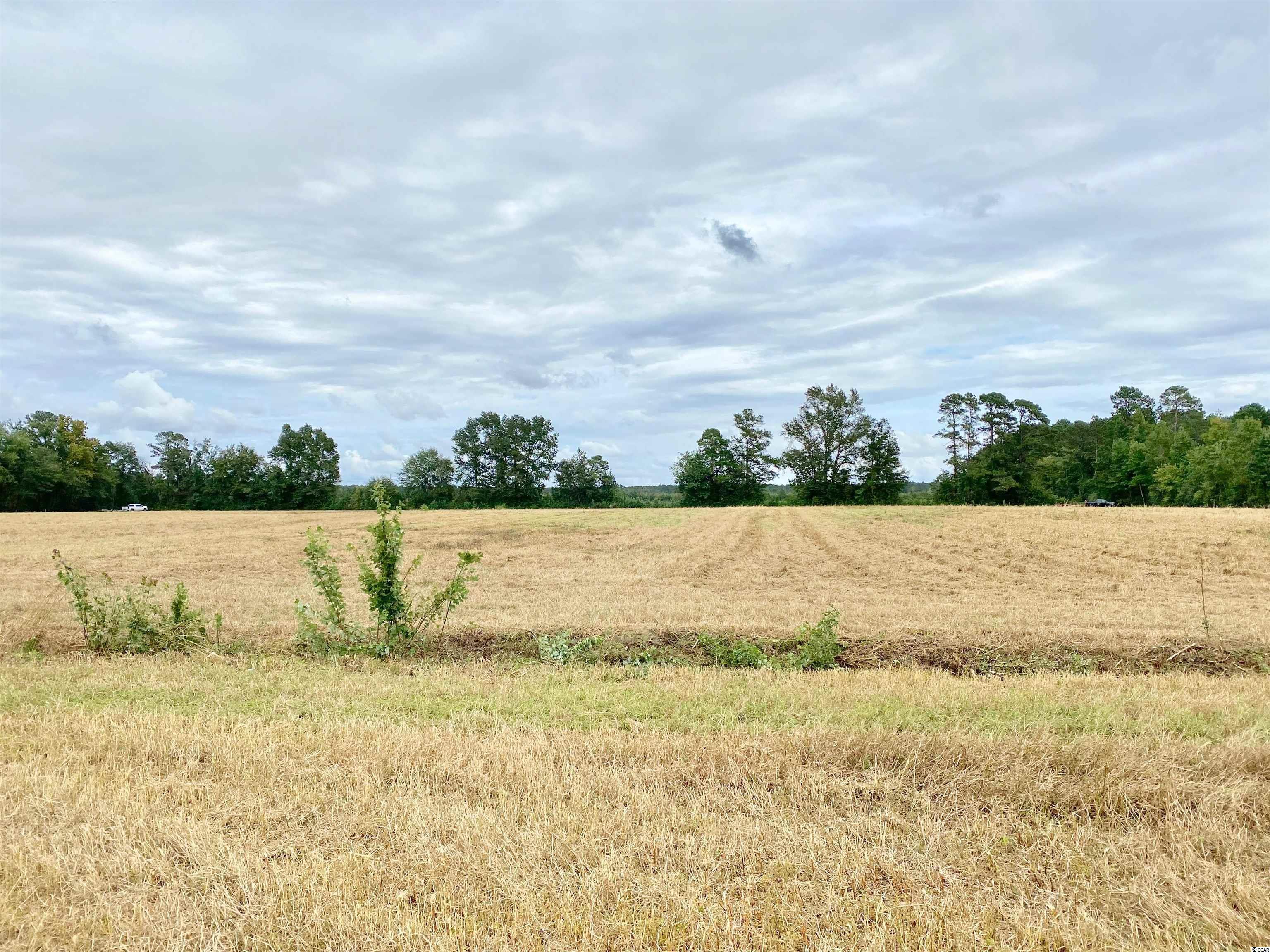 Tbd Tbd Wise Farm Road Aynor, SC 29511 - Photo 25 of 31 Gallery Image 25