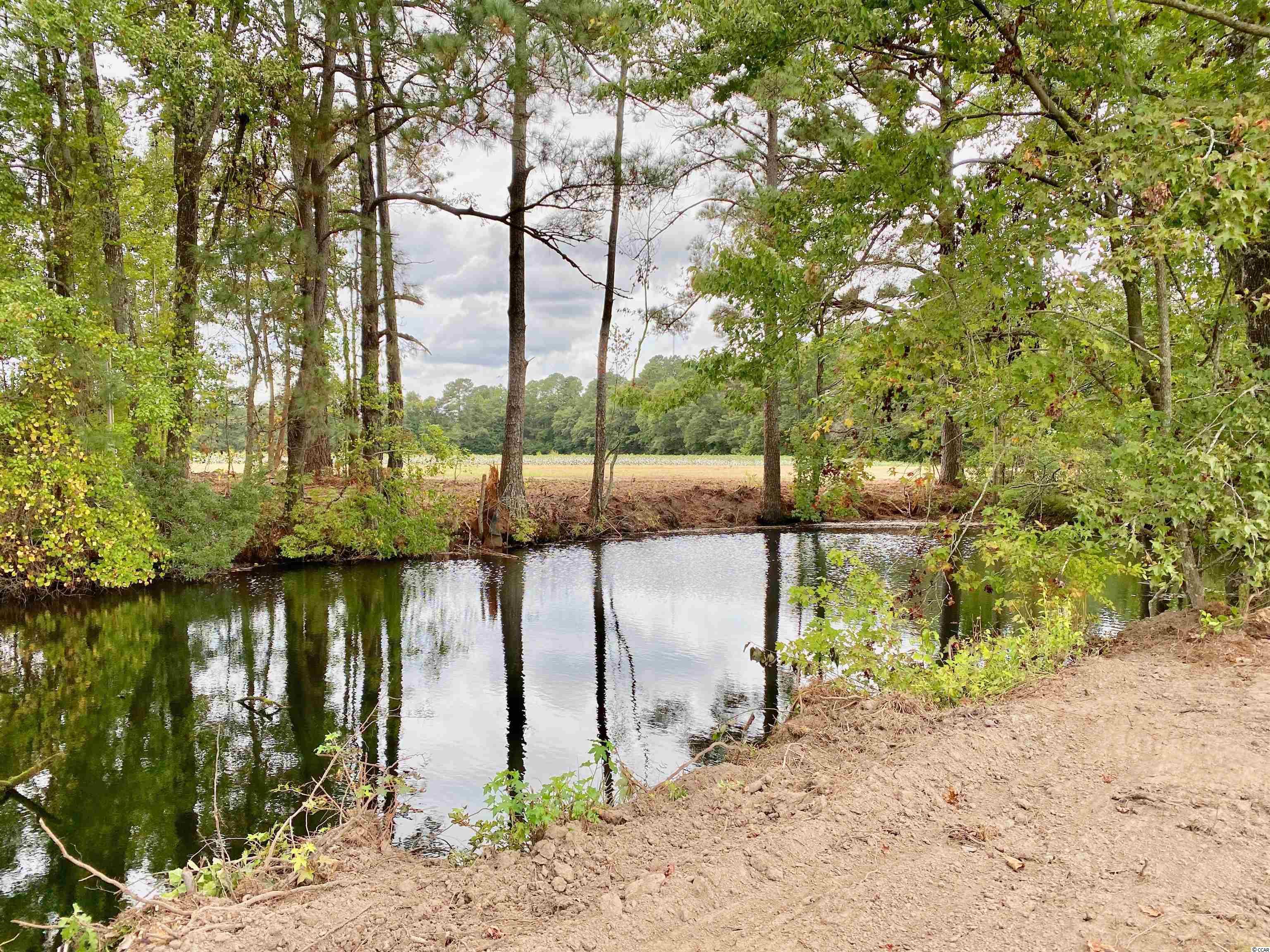 Tbd Tbd Wise Farm Road Aynor, SC 29511 - Photo 27 of 31 Gallery Image 27