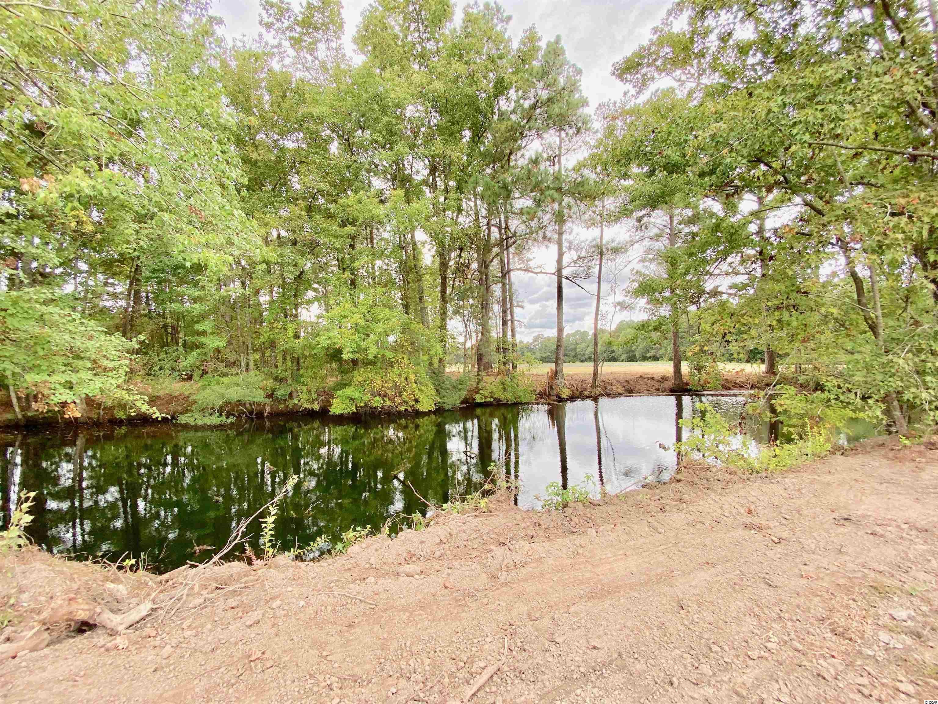 Tbd Tbd Wise Farm Road Aynor, SC 29511 - Photo 28 of 31 Gallery Image 28