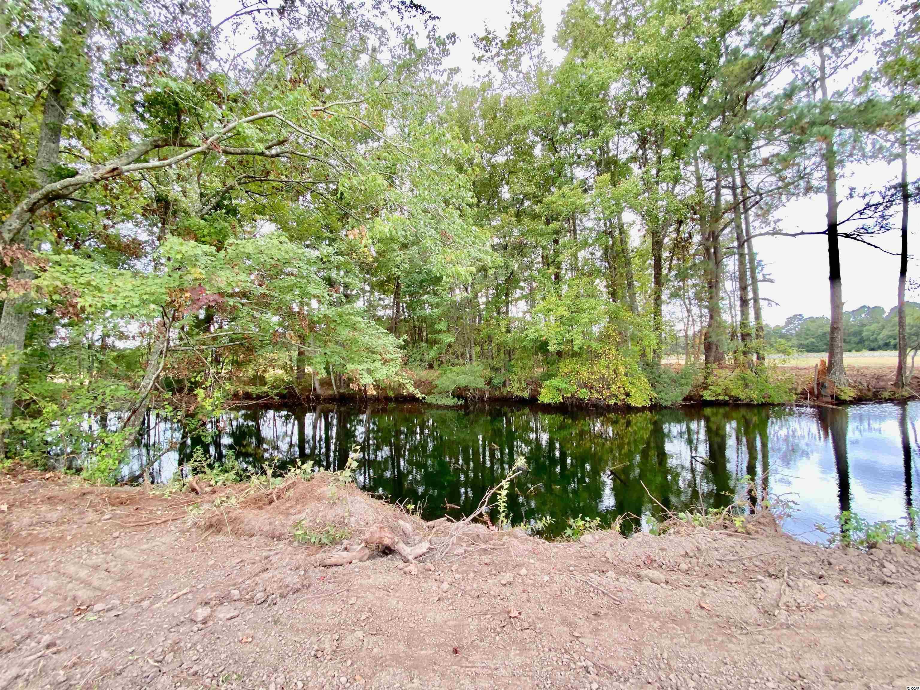 Tbd Tbd Wise Farm Road Aynor, SC 29511 - Photo 29 of 31 Gallery Image 29