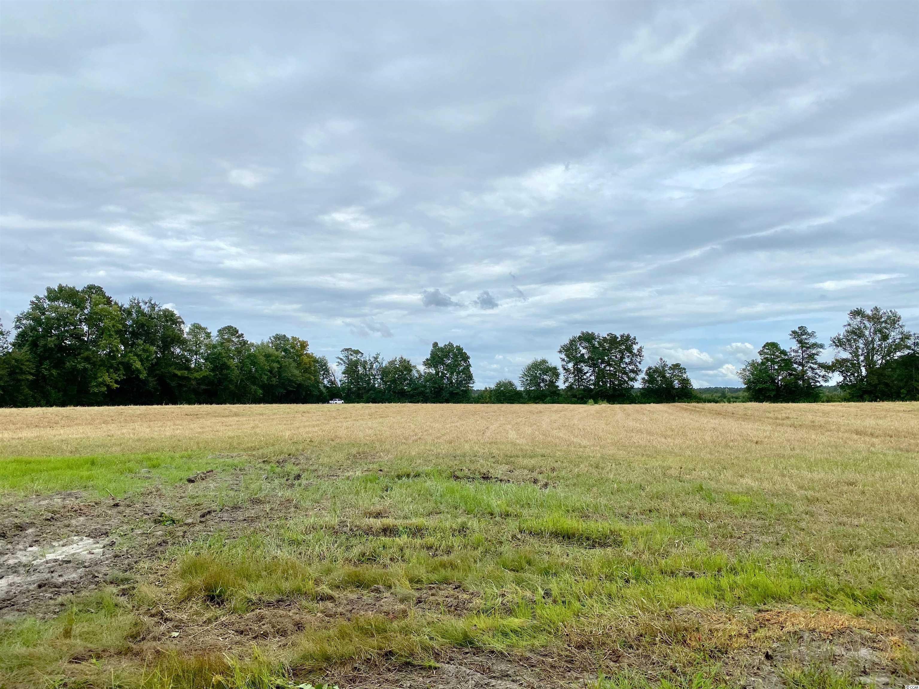 Tbd Tbd Wise Farm Road Aynor, SC 29511 - Photo 30 of 31 Gallery Image 30