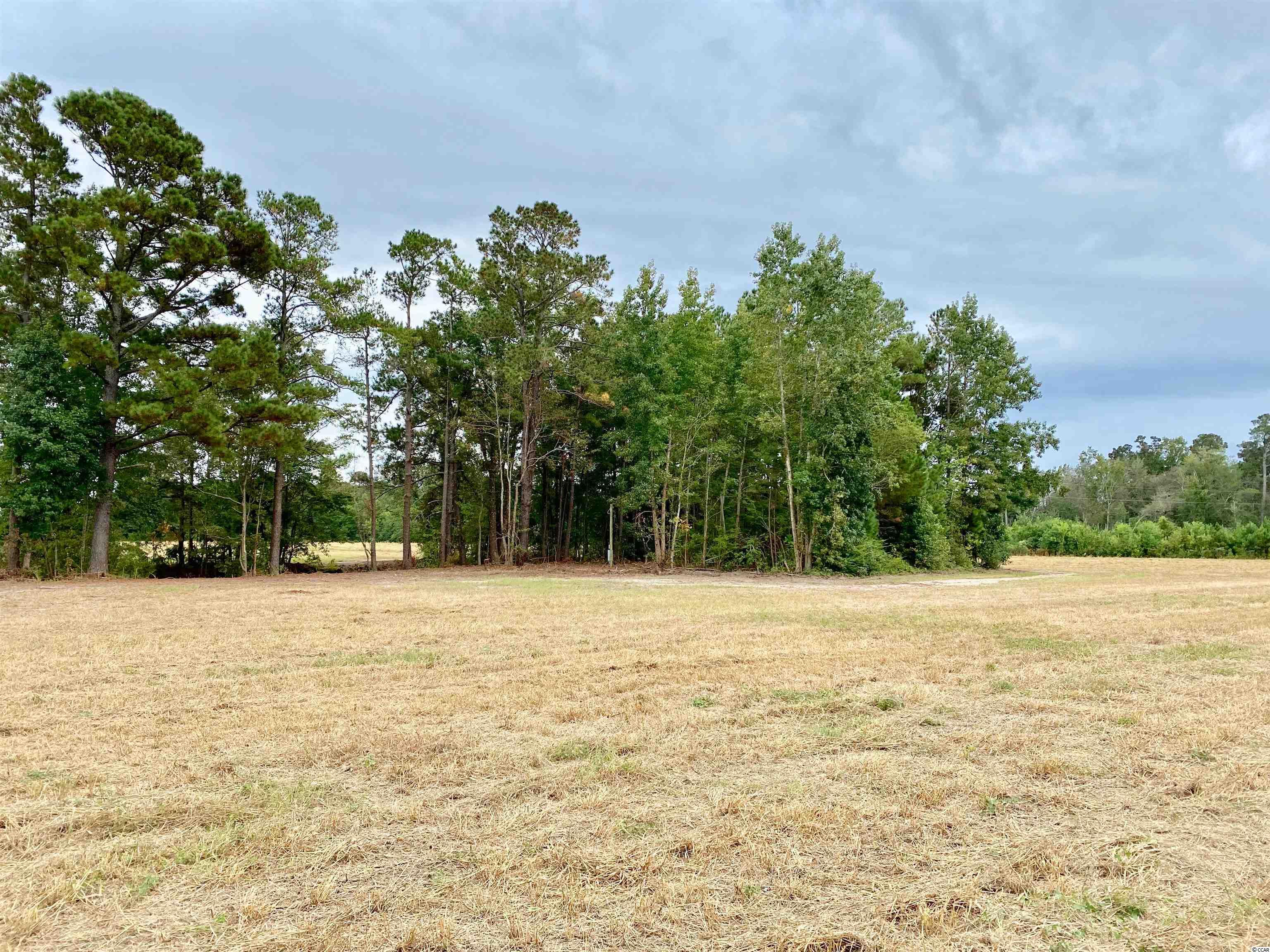 Tbd Tbd Wise Farm Road Aynor, SC 29511 - Photo 4 of 31 Gallery Image 4