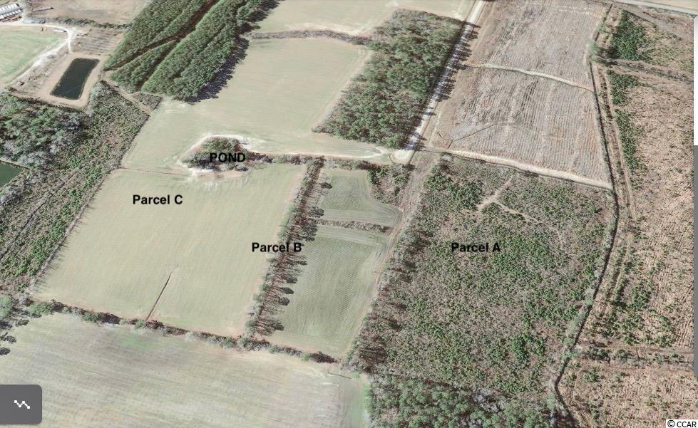 Tbd Tbd Wise Farm Road Aynor, SC 29511 - Photo 31 of 31 Gallery Image 31