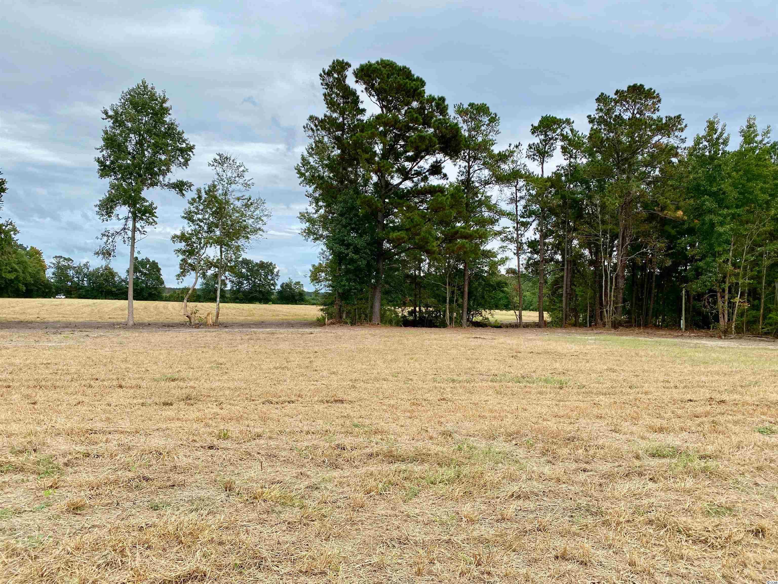 Tbd Tbd Wise Farm Road Aynor, SC 29511 - Photo 5 of 31 Gallery Image 5