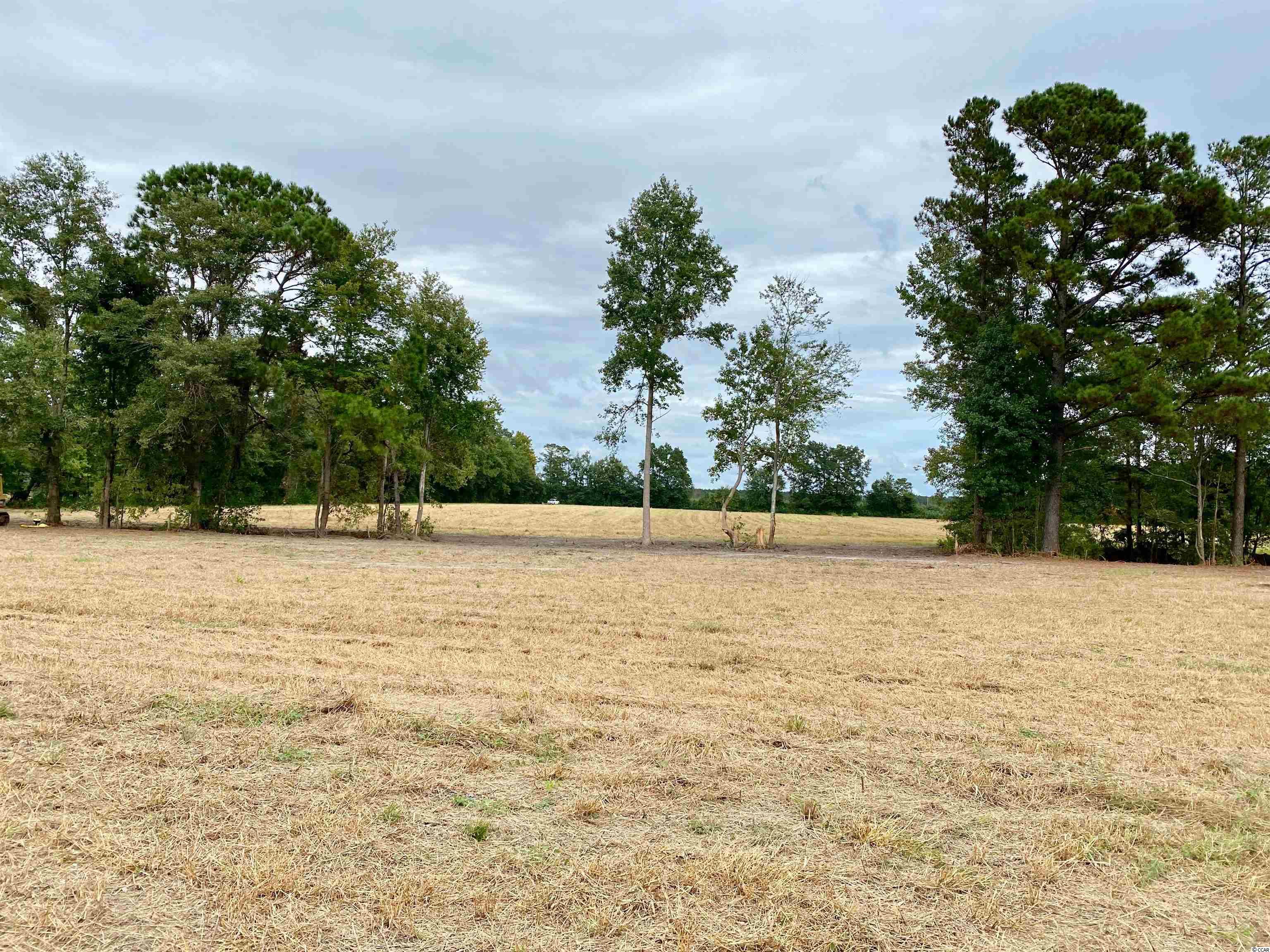 Tbd Tbd Wise Farm Road Aynor, SC 29511 - Photo 6 of 31 Gallery Image 6