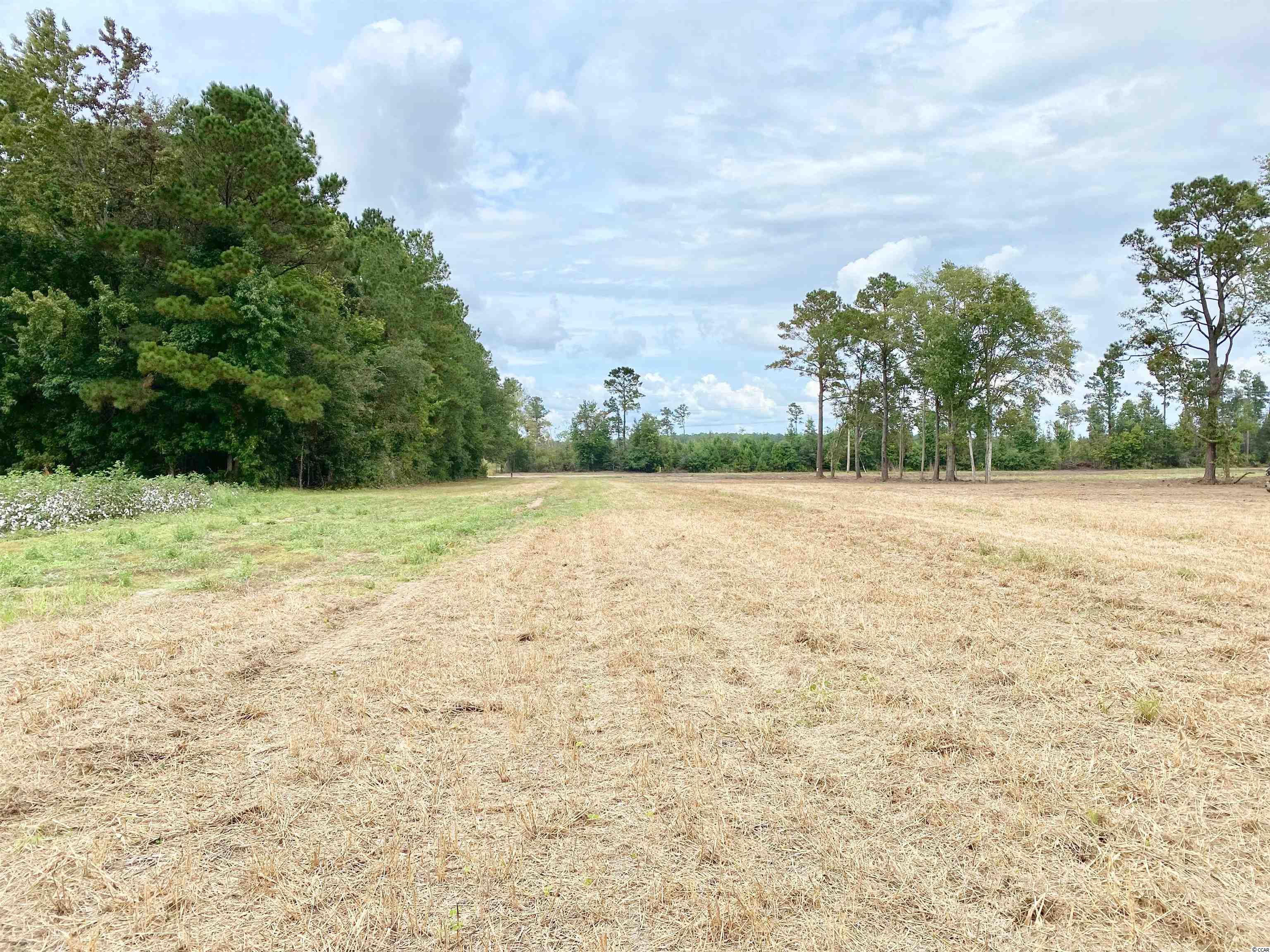 Tbd Tbd Wise Farm Road Aynor, SC 29511 - Photo 7 of 31 Gallery Image 7