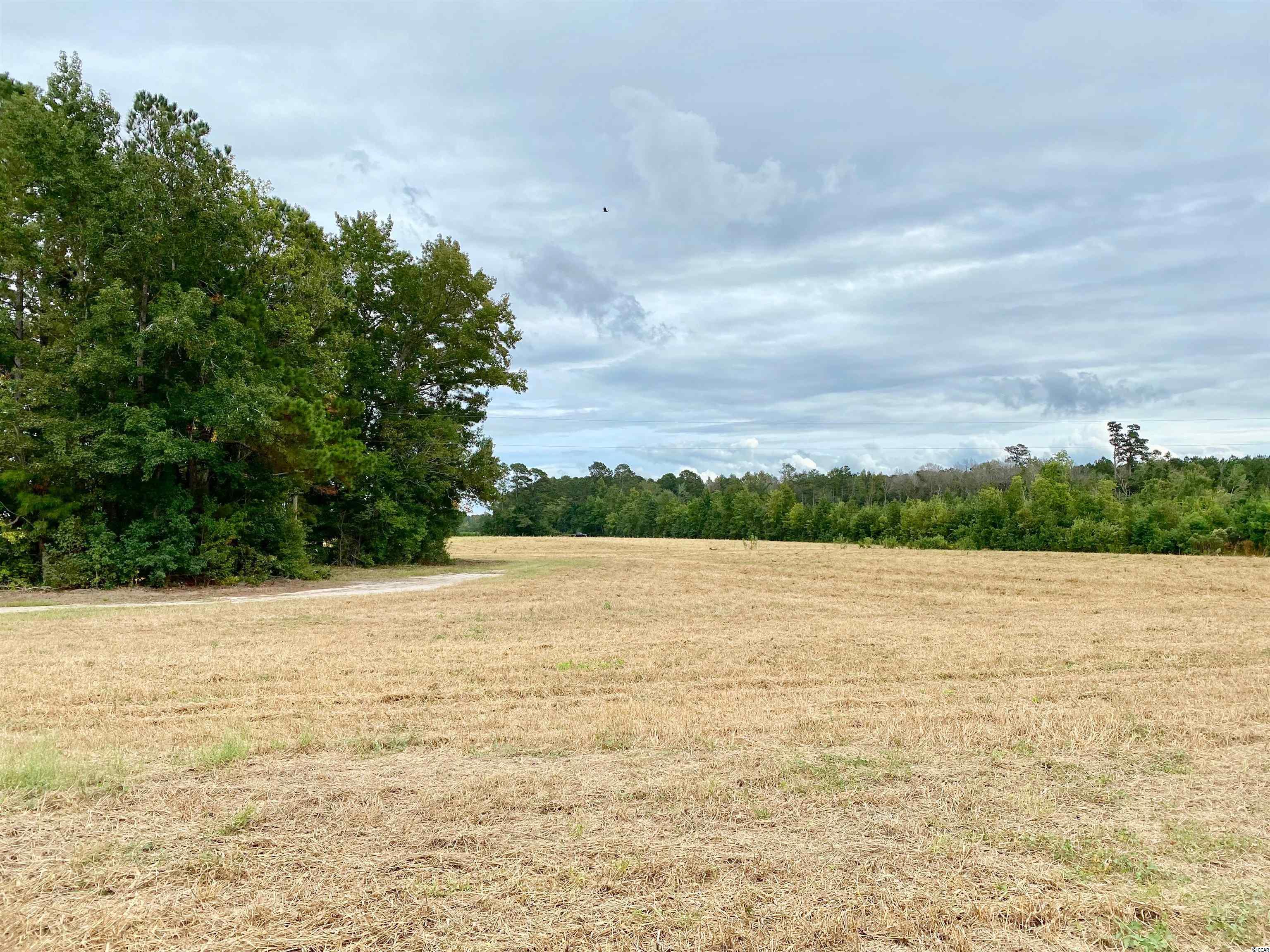 Tbd Tbd Wise Farm Road Aynor, SC 29511 - Photo 10 of 31 Gallery Image 10