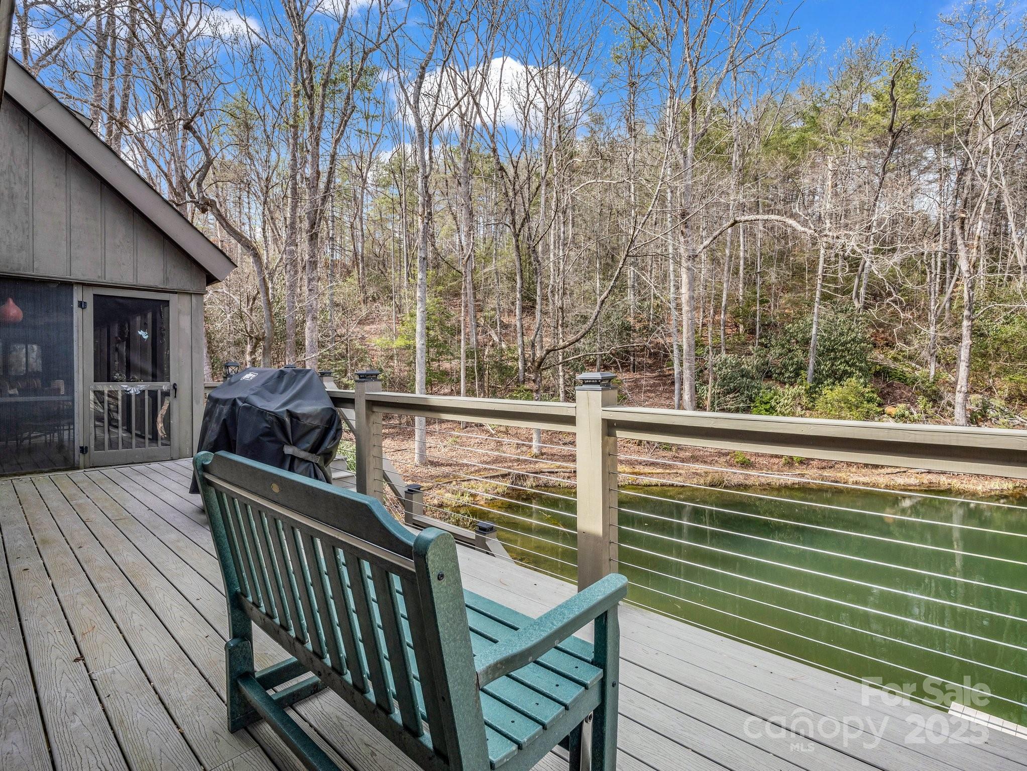 100 Dunks End Road Brevard, NC 28712 - Photo 17 of 44