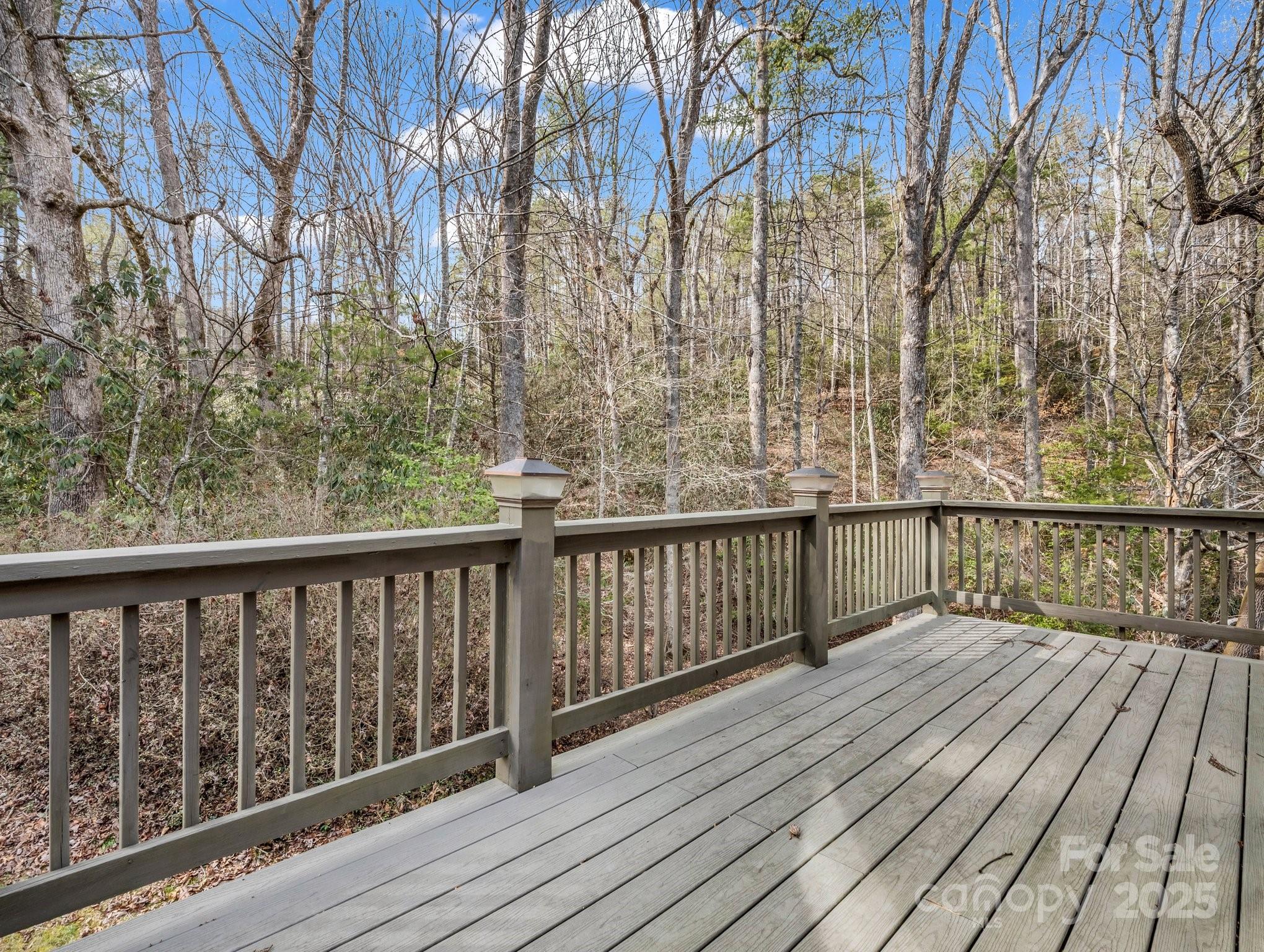 100 Dunks End Road Brevard, NC 28712 - Photo 35 of 44