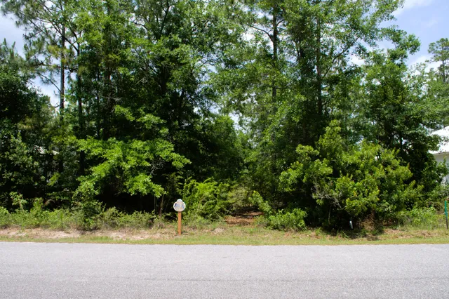 $85,000 | Lot 59 Muzzle Street, Freeport, FL 32439