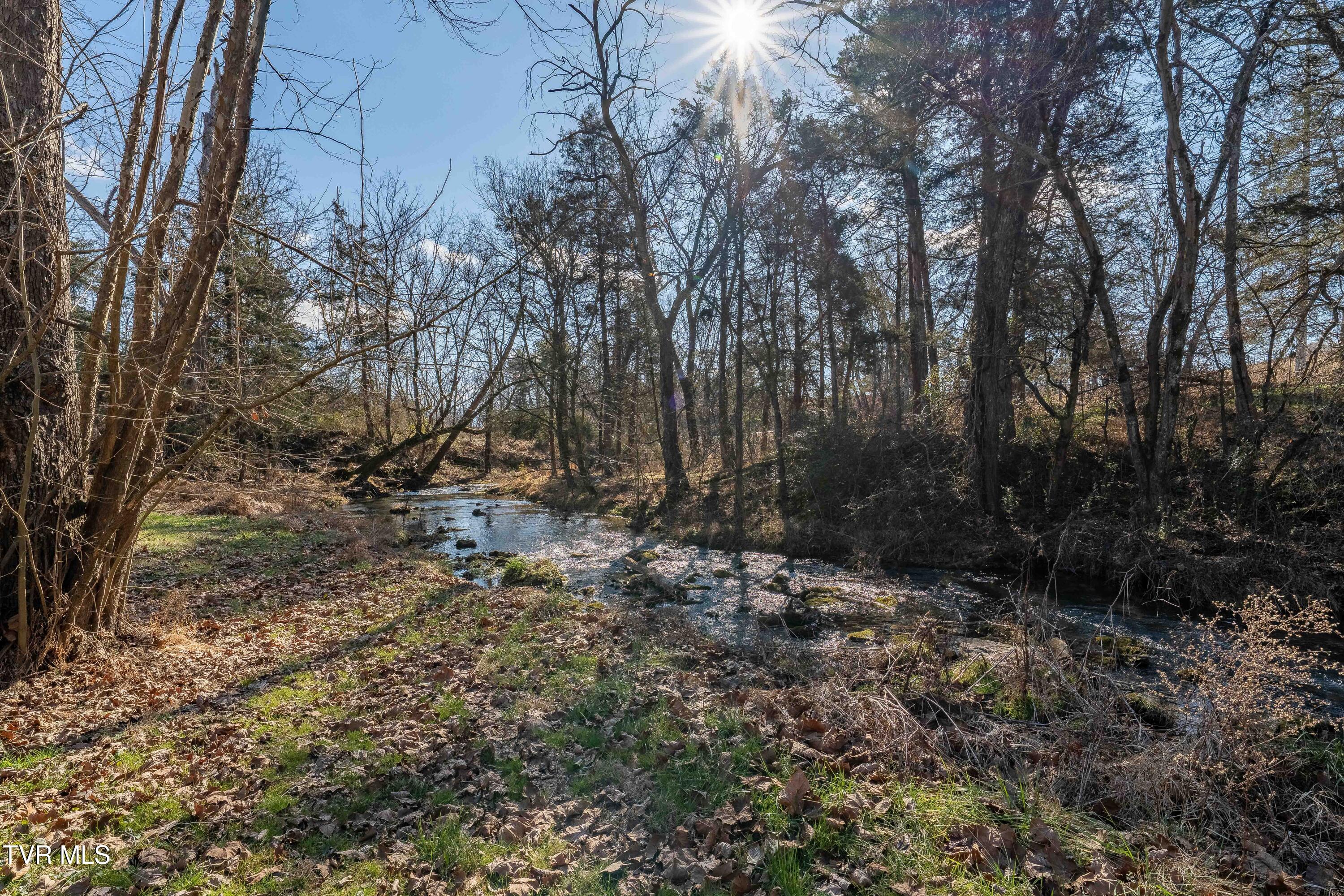 2715 Old Stage Road Afton, TN 37616 - Photo 69 of 74 2715 Old Stage Rd (43 of 73)