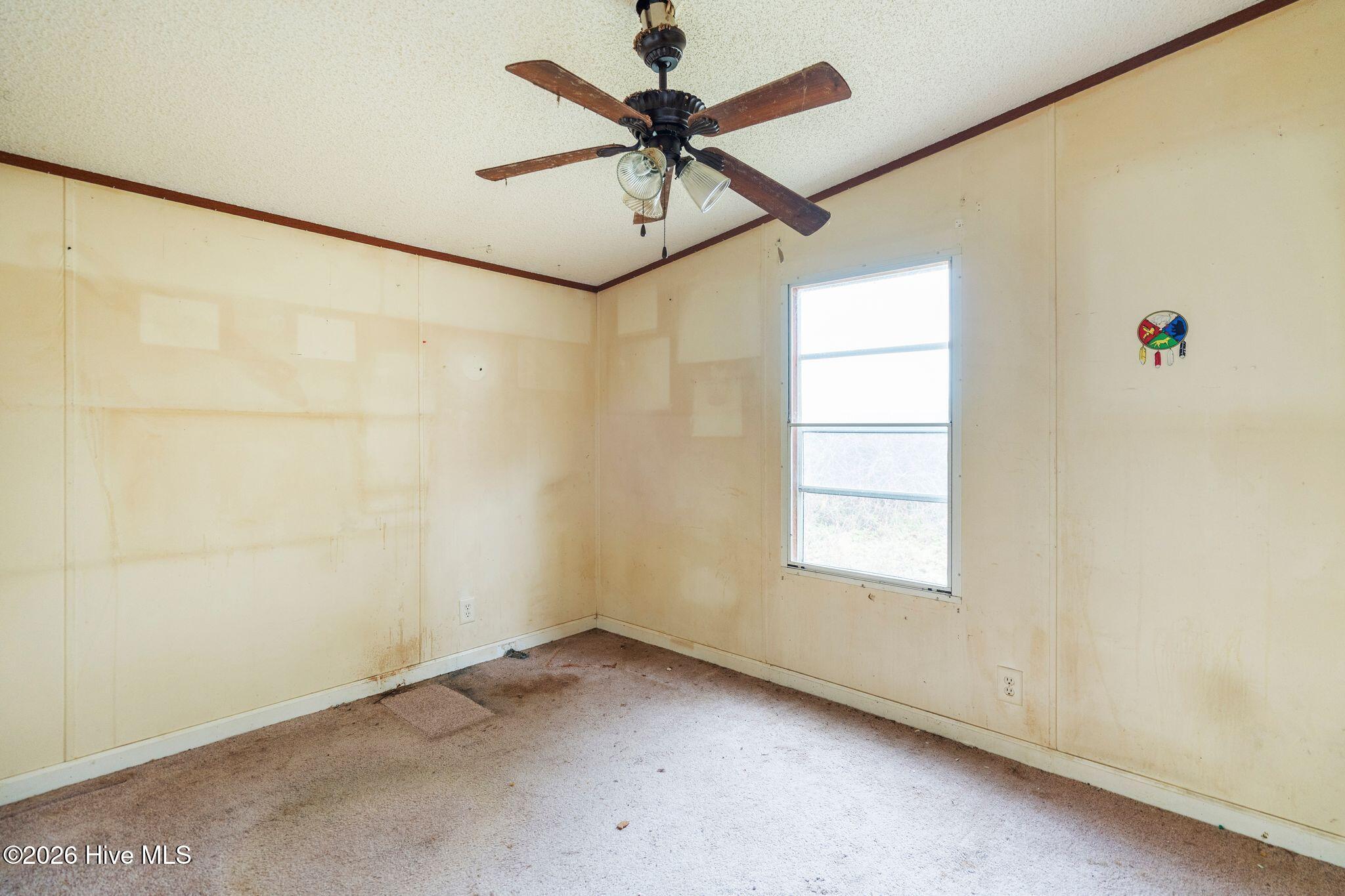 740 Old Chinquapin Road Beulaville, NC 28518 - Photo 25 of 37 25_DSC09276