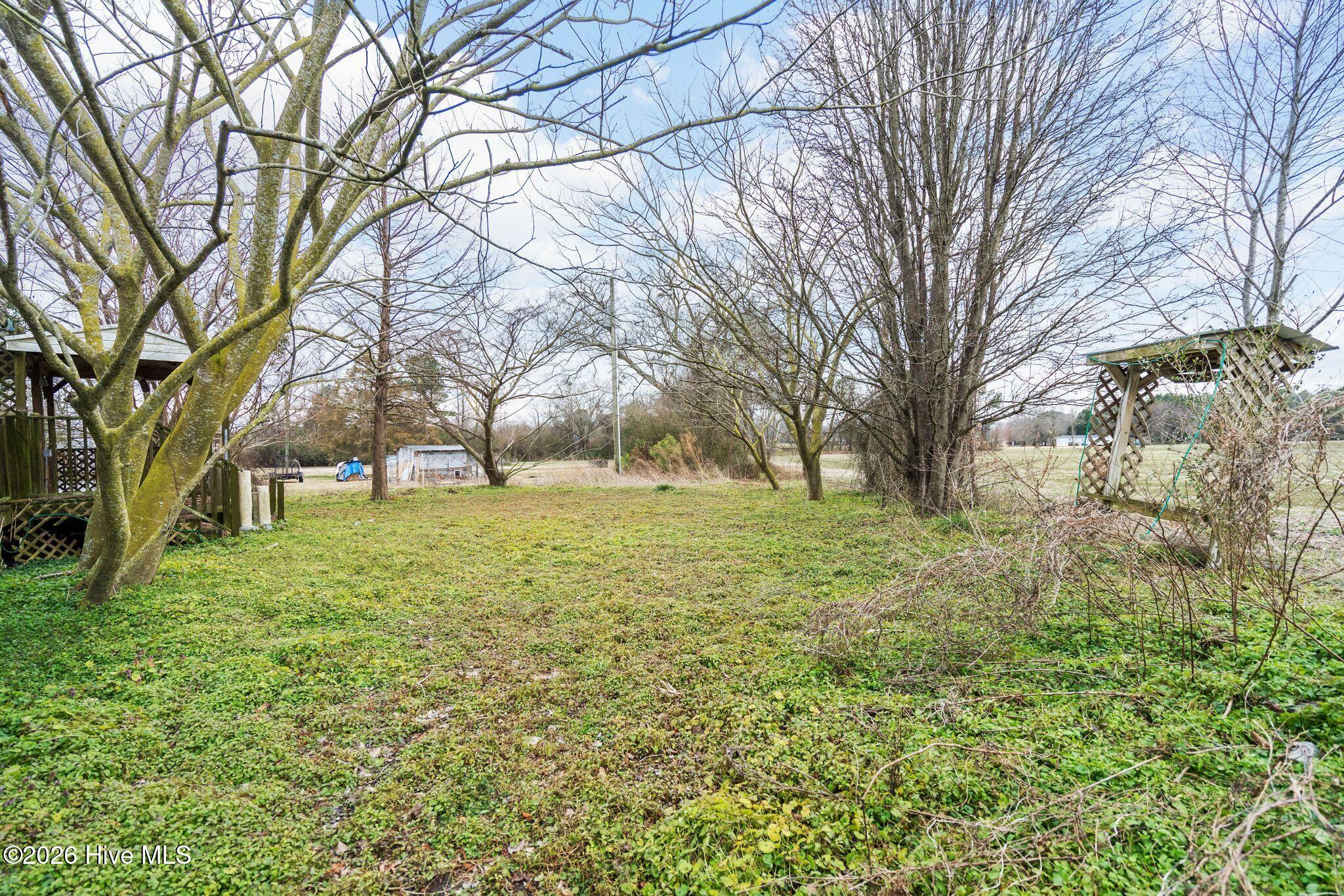 740 Old Chinquapin Road Beulaville, NC 28518 - Photo 35 of 37 35_DSC09324