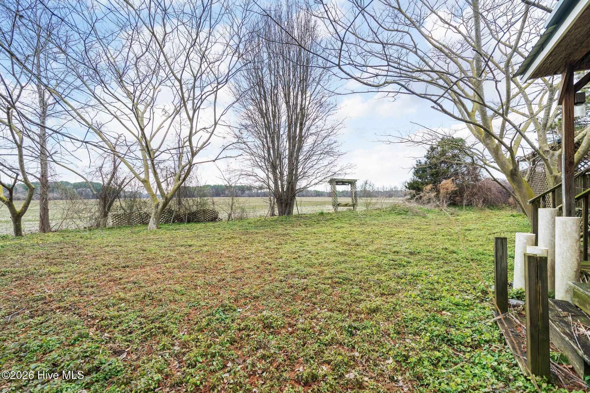 740 Old Chinquapin Road Beulaville, NC 28518 - Photo 36 of 37 36_DSC09334