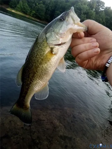 $519,900 | 316 Plantation Drive, Montross, VA 22520