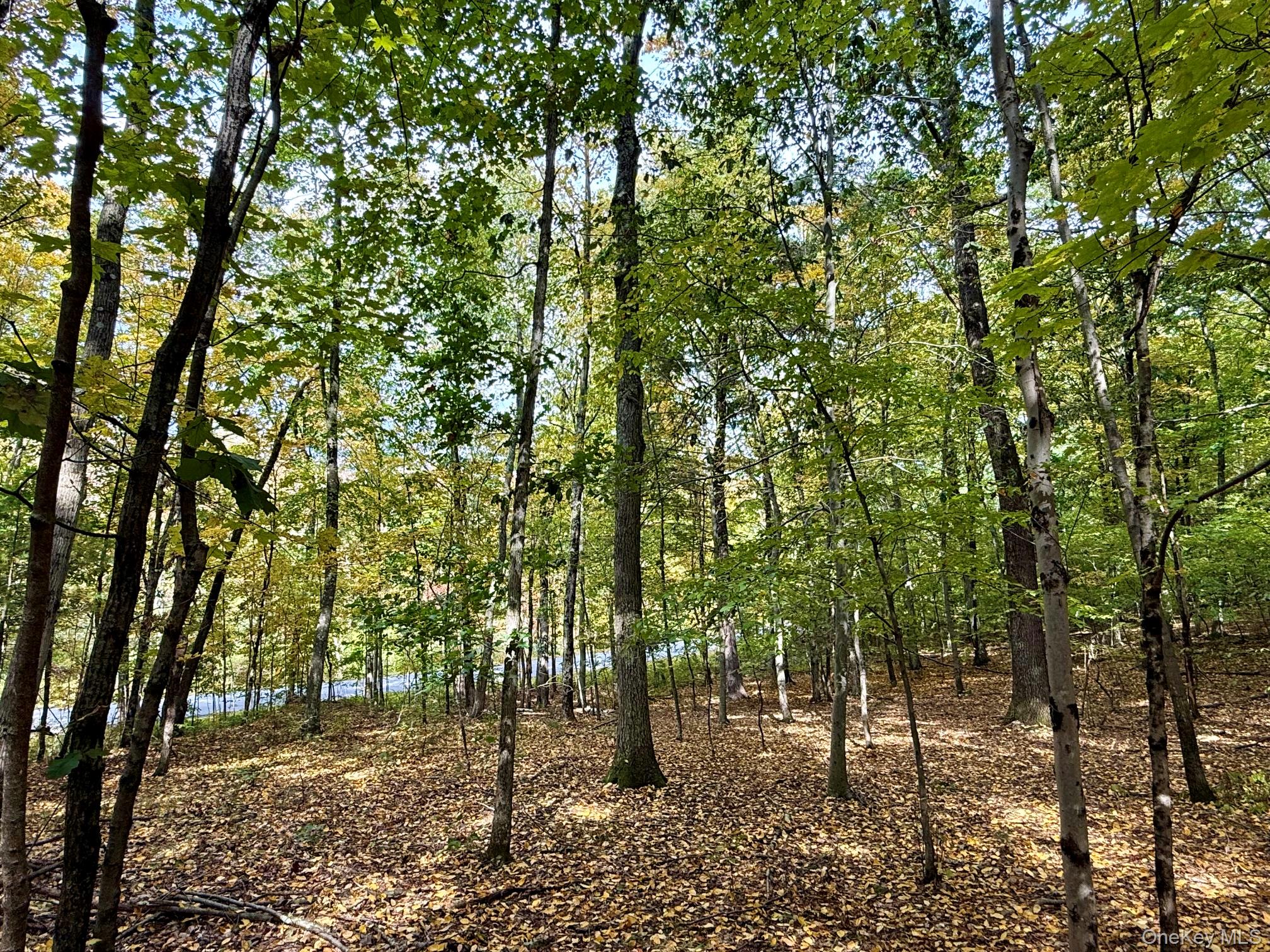 Fiddlers Bridge Road Staatsburg, NY 12580 - Photo 1 of 9 Gallery Image 1
