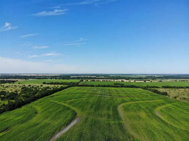 a view of a field with an ocean