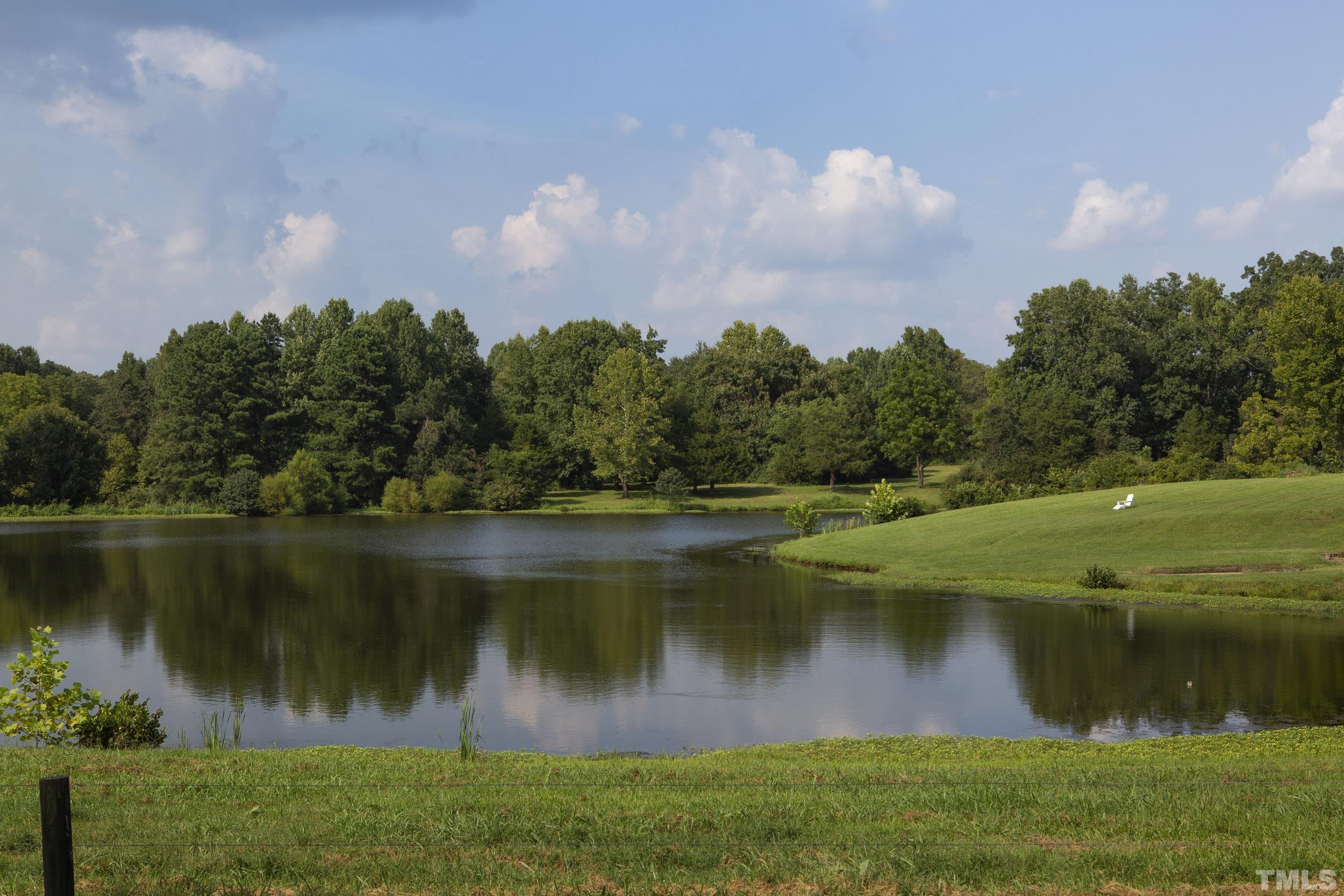 Lot 2 Ben Wilson Road Mebane, NC 27302 - Photo 4 of 10 Gallery Image 4