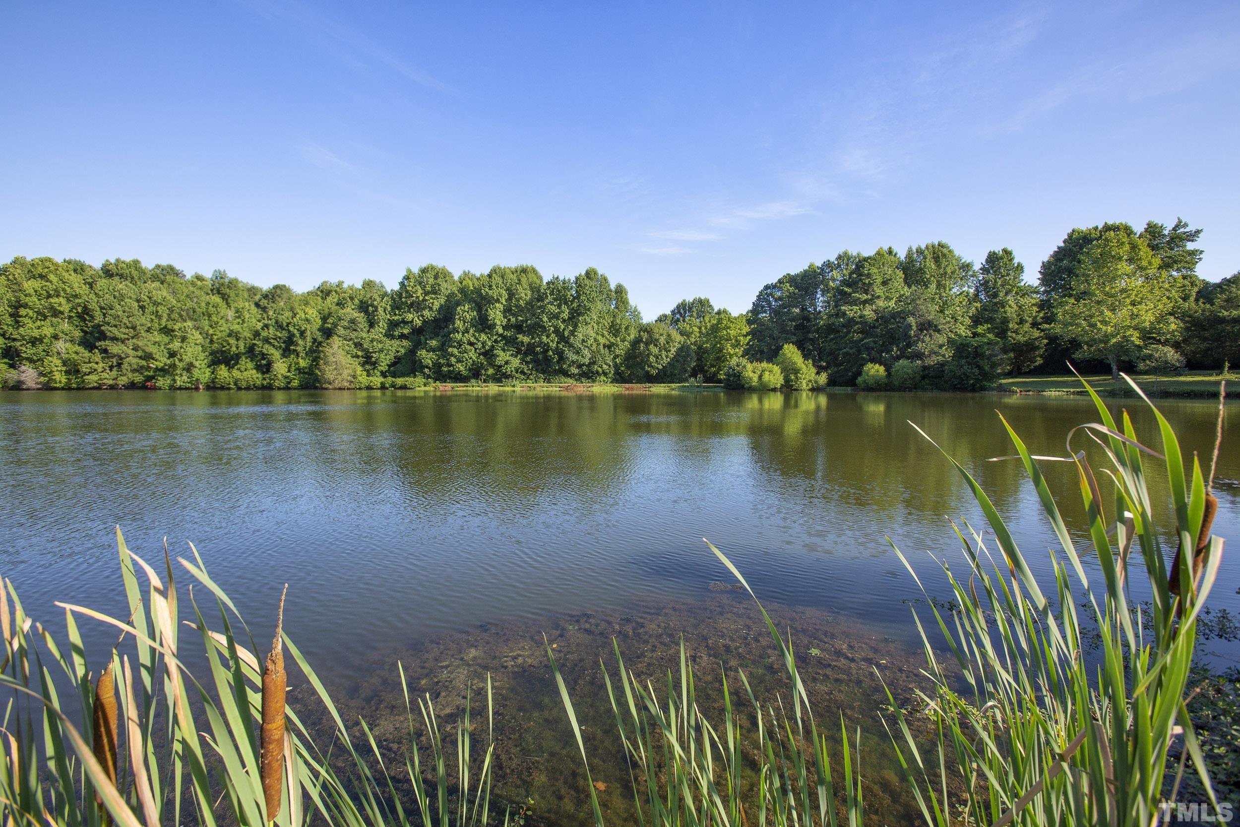 Lot 2 Ben Wilson Road Mebane, NC 27302 - Photo 9 of 10 Gallery Image 9