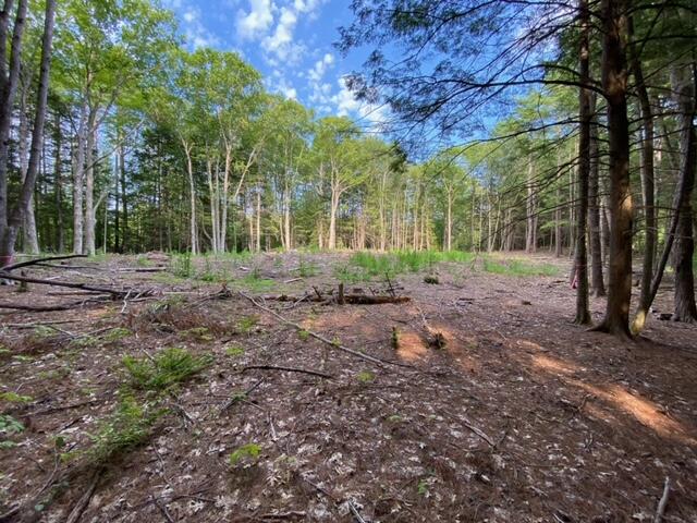 0 Iron Wood Road New Gloucester, ME 04260 - Photo 1 of 10 image4