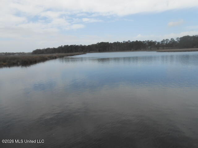 3230 Cumberland Road, Unit 55 Ocean Springs, MS 39564 - Photo 6 of 37 DSCN8244