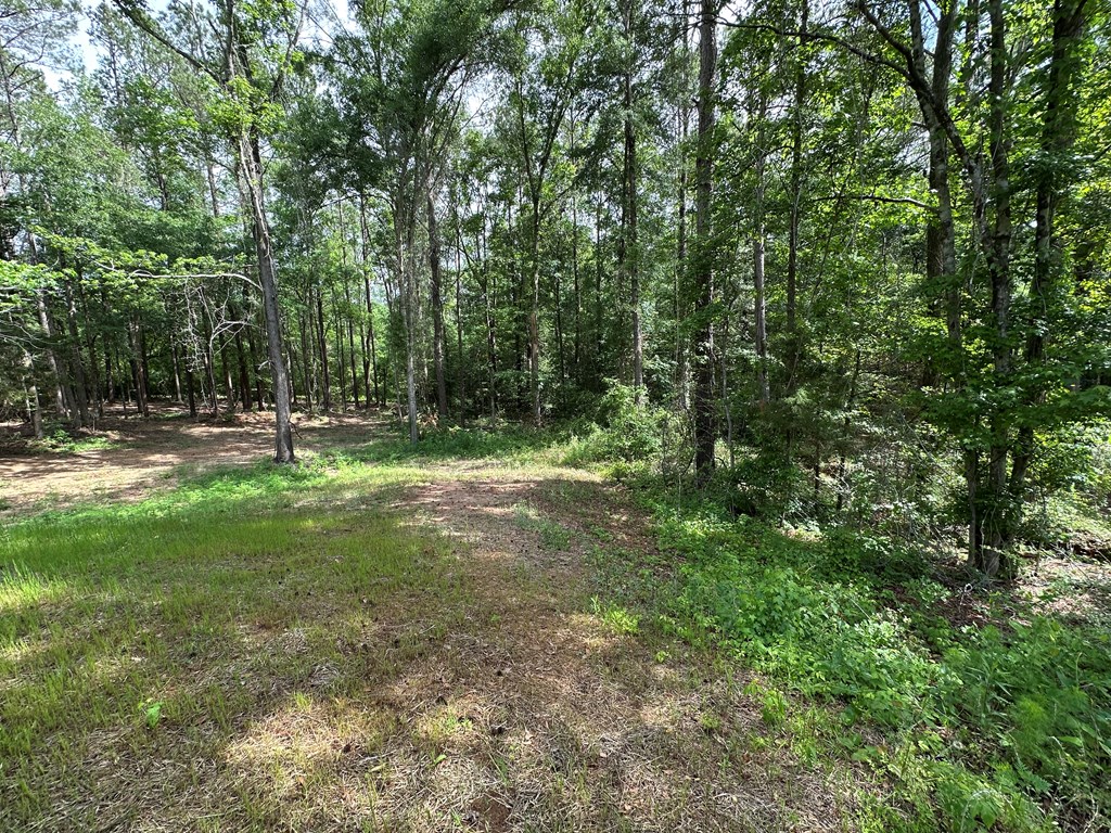 593 Mary McClendon Road Ozark, AL 36360 - Photo 65 of 65