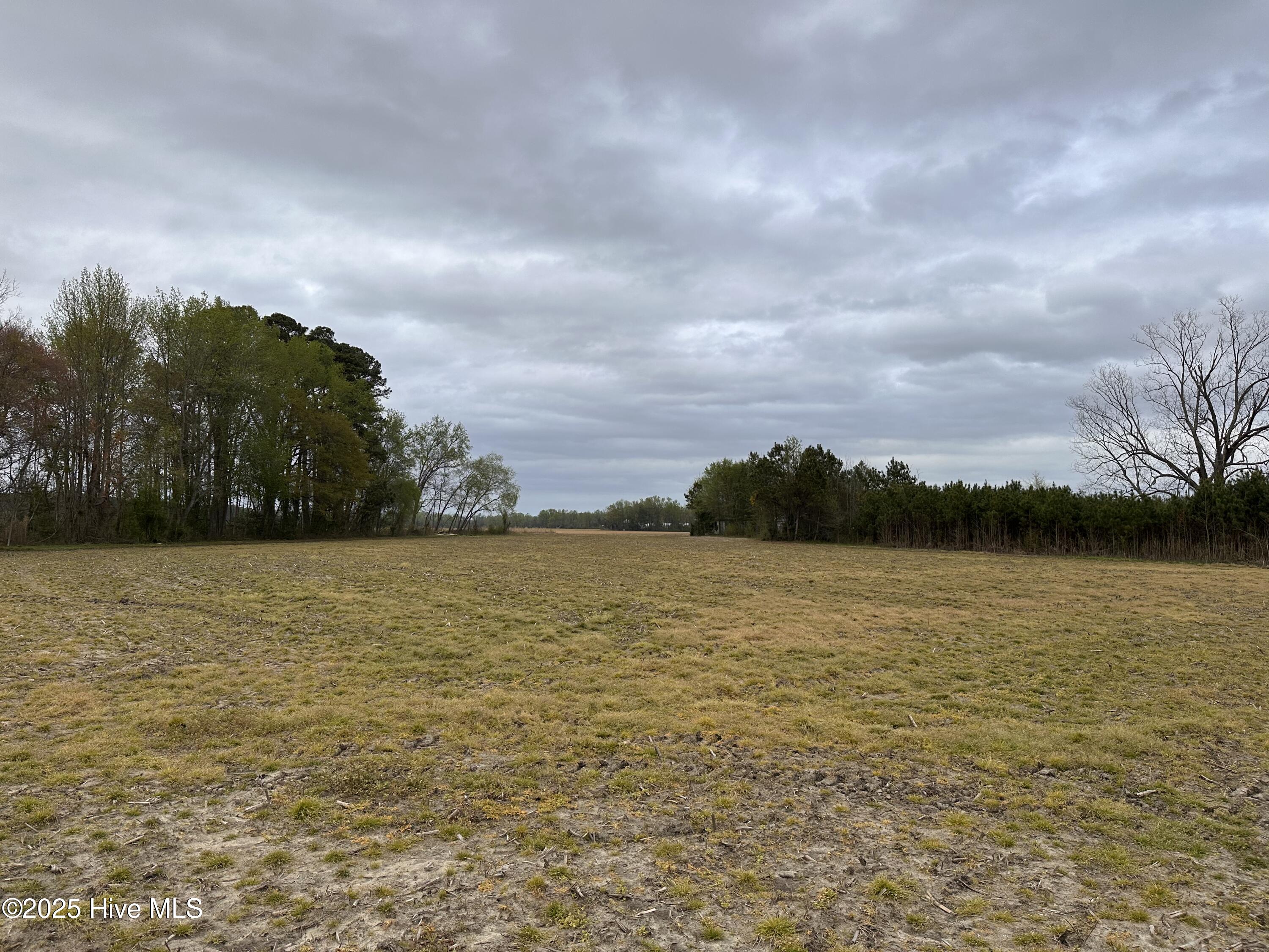 1806 Castoria Road Walstonburg, NC 27888 - Photo 3 of 12 IMG_8904