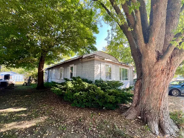 a backyard of a house with plants and large trees